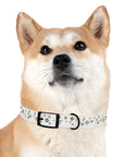 Meadow Moments: Dog Collar