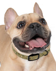 Meadow Moments: Dog Collar