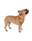 Meadow Moments: Pet Bandana