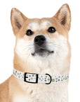 Meadow Moments: Dog Collar