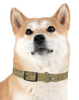 Meadow Moments: Dog Collar