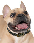 Meadow Moments: Dog Collar
