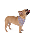 Wildbloom Walk: Pet Bandana