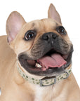 Meadow Moments: Dog Collar
