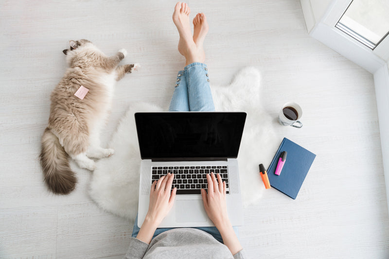 Get Work Done