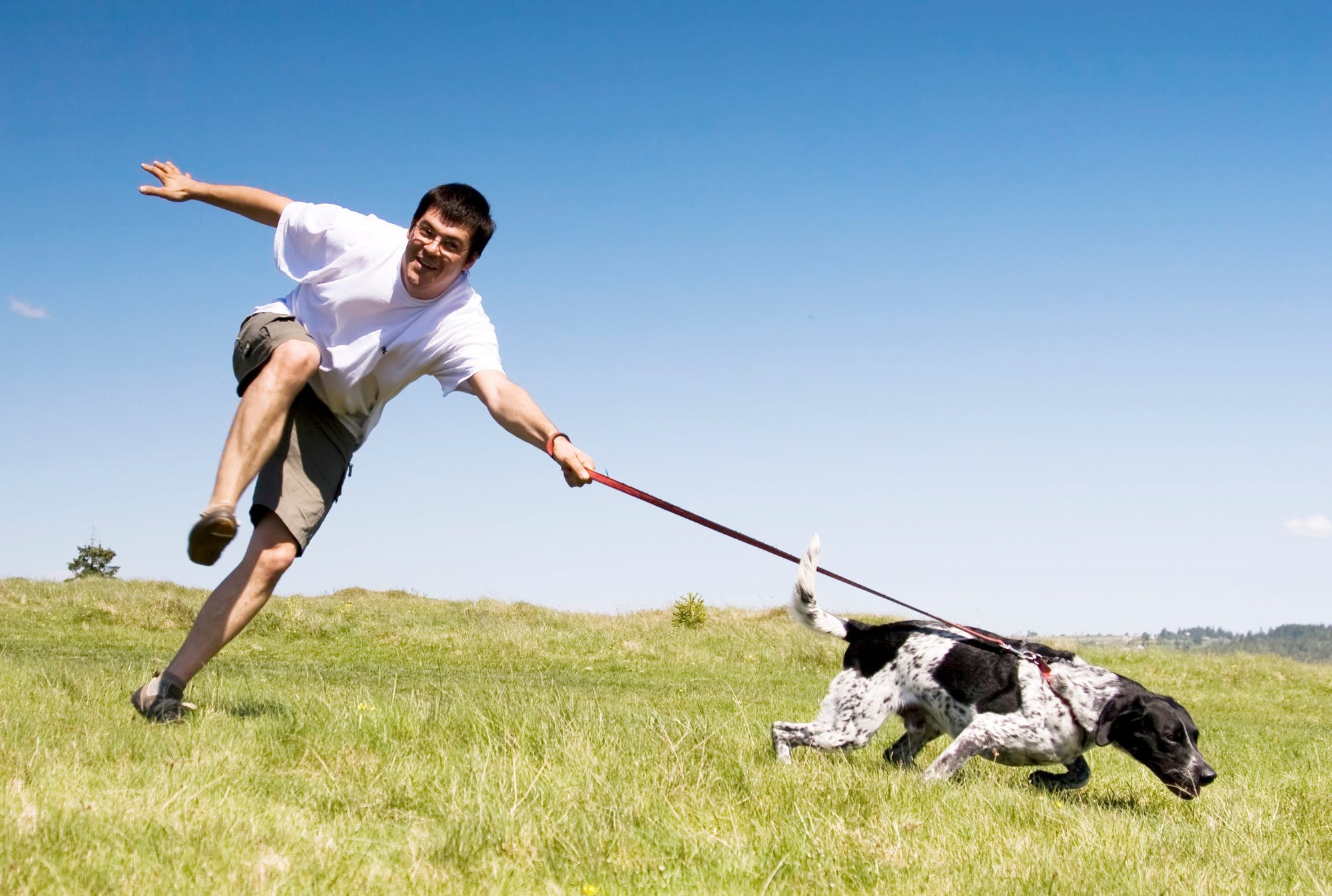 Go for a Walk