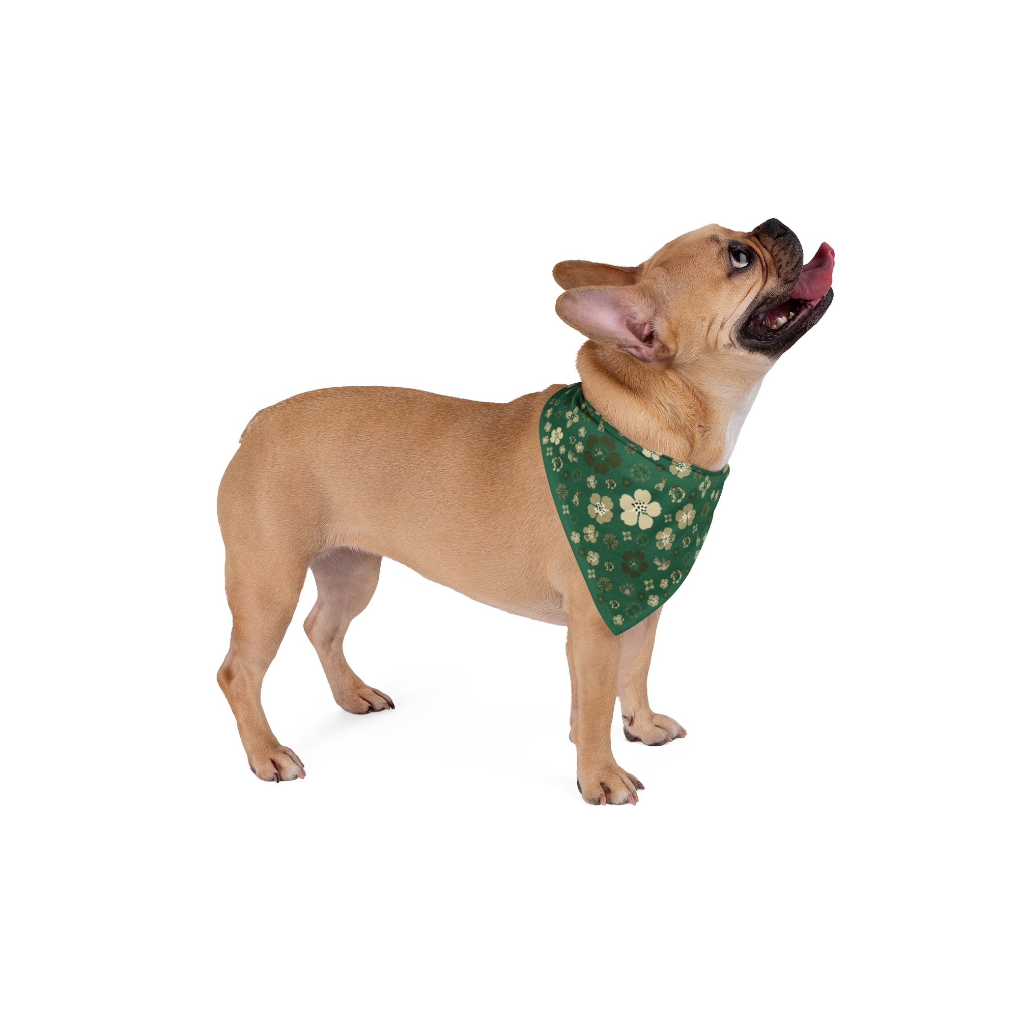 Meadow Moments: Pet Bandana