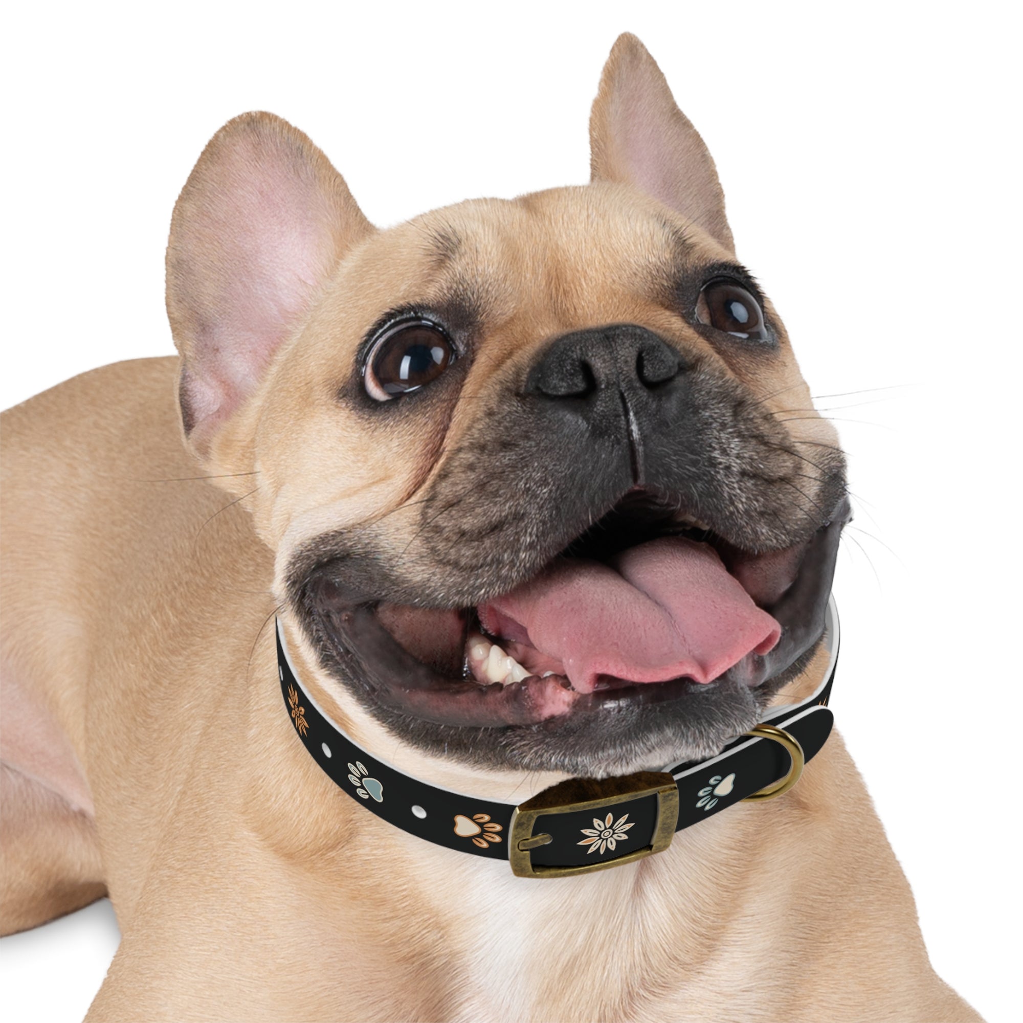 Wildbloom Walk: Dog Collar