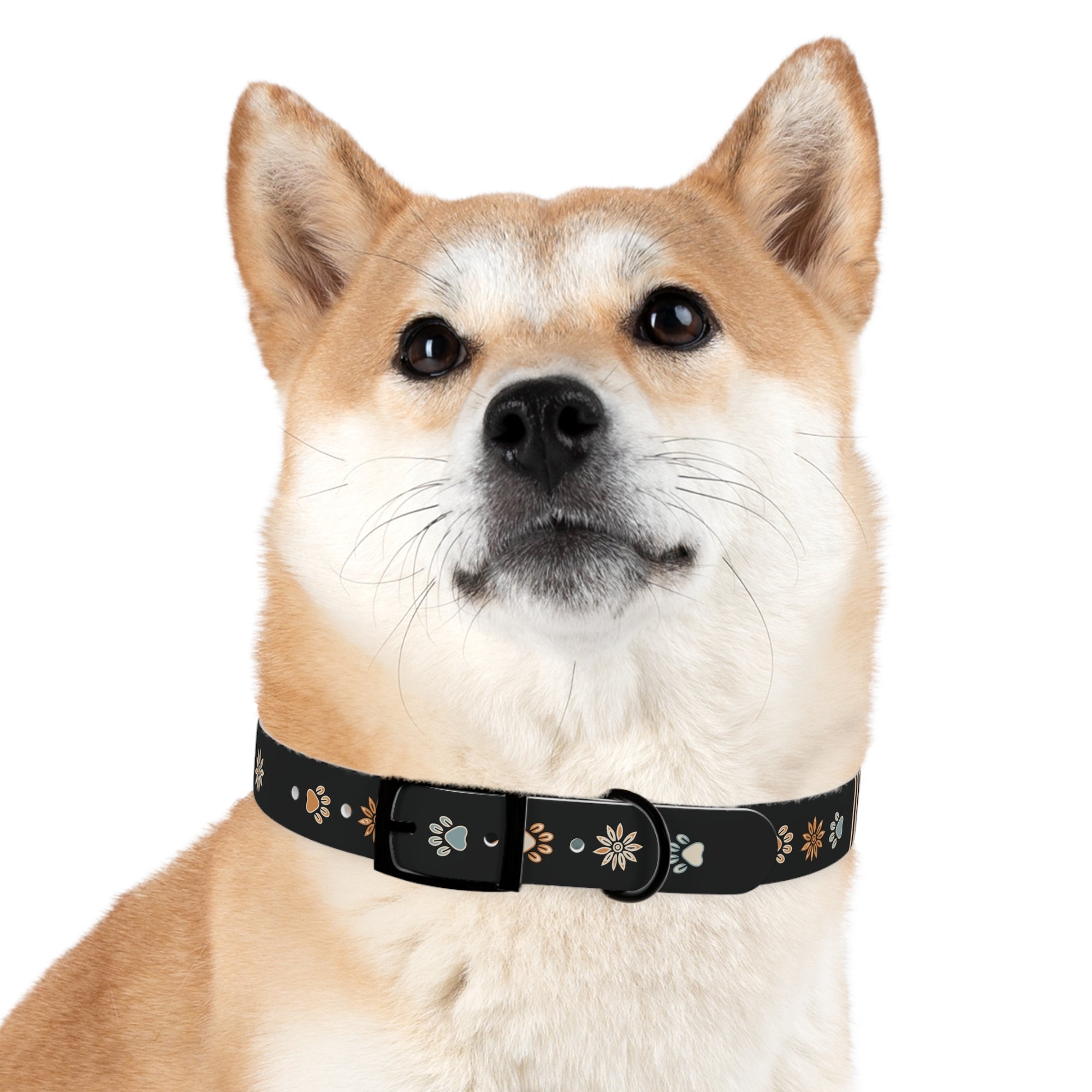 Wildbloom Walk: Dog Collar