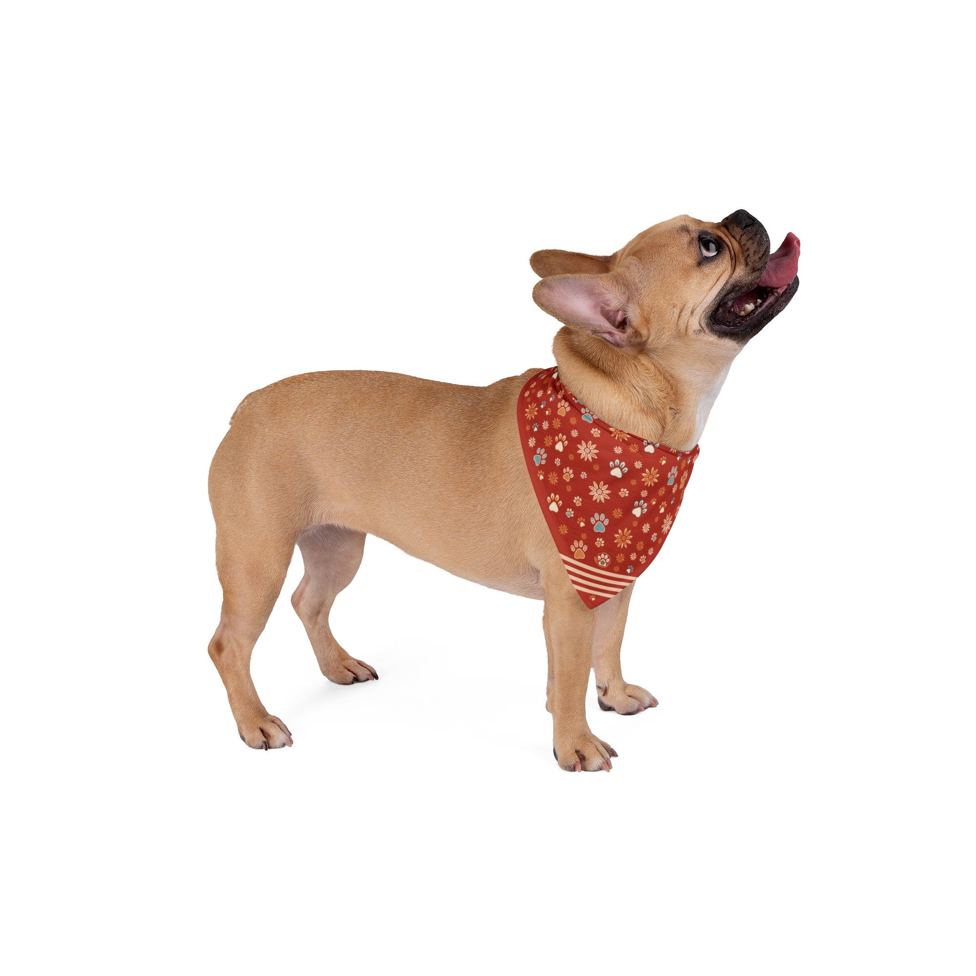 Wildbloom Walk: Pet Bandana