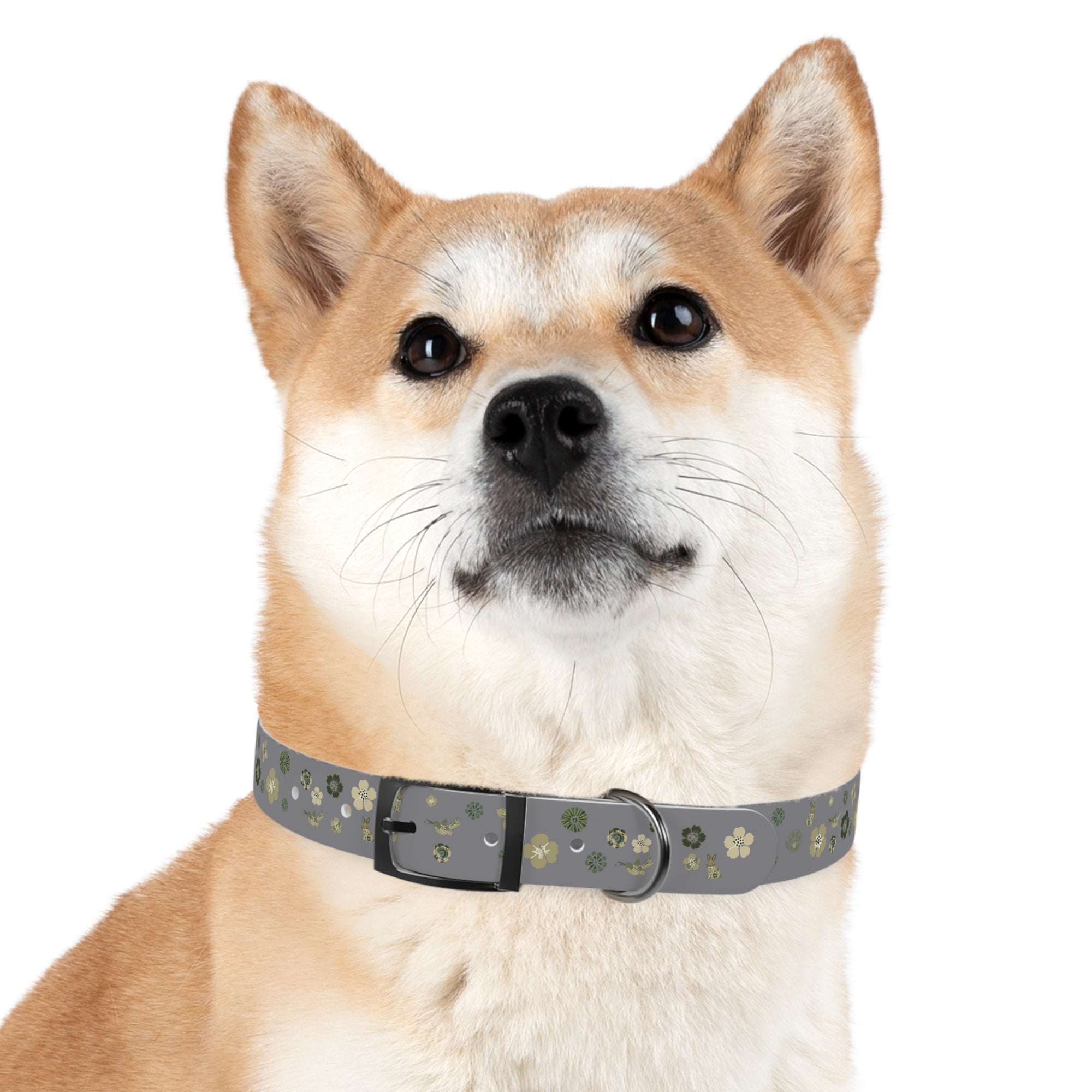 Meadow Moments: Dog Collar