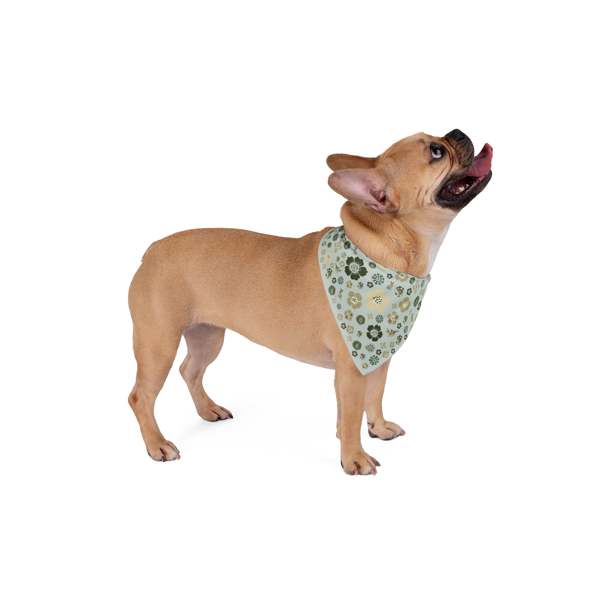Meadow Moments: Pet Bandana