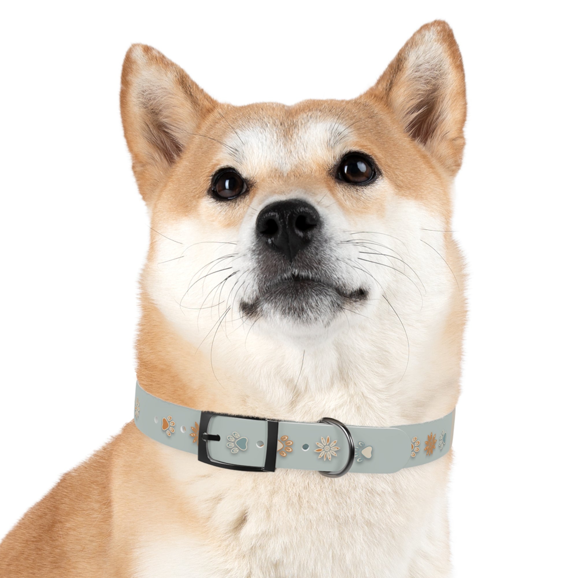 Wildbloom Walk: Dog Collar