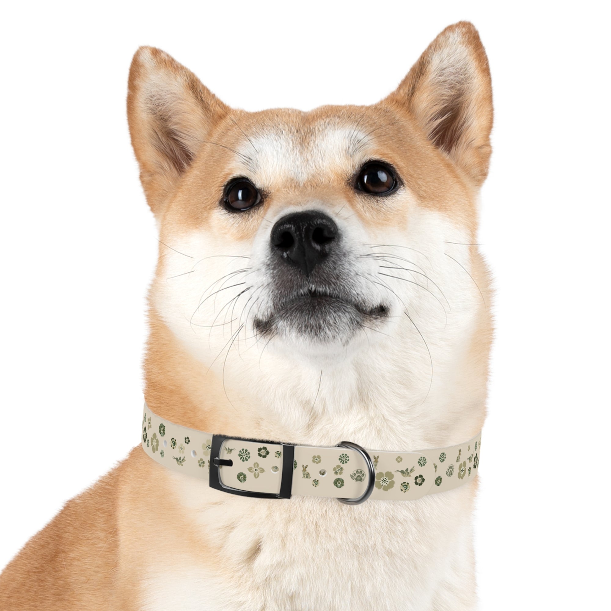Meadow Moments: Dog Collar