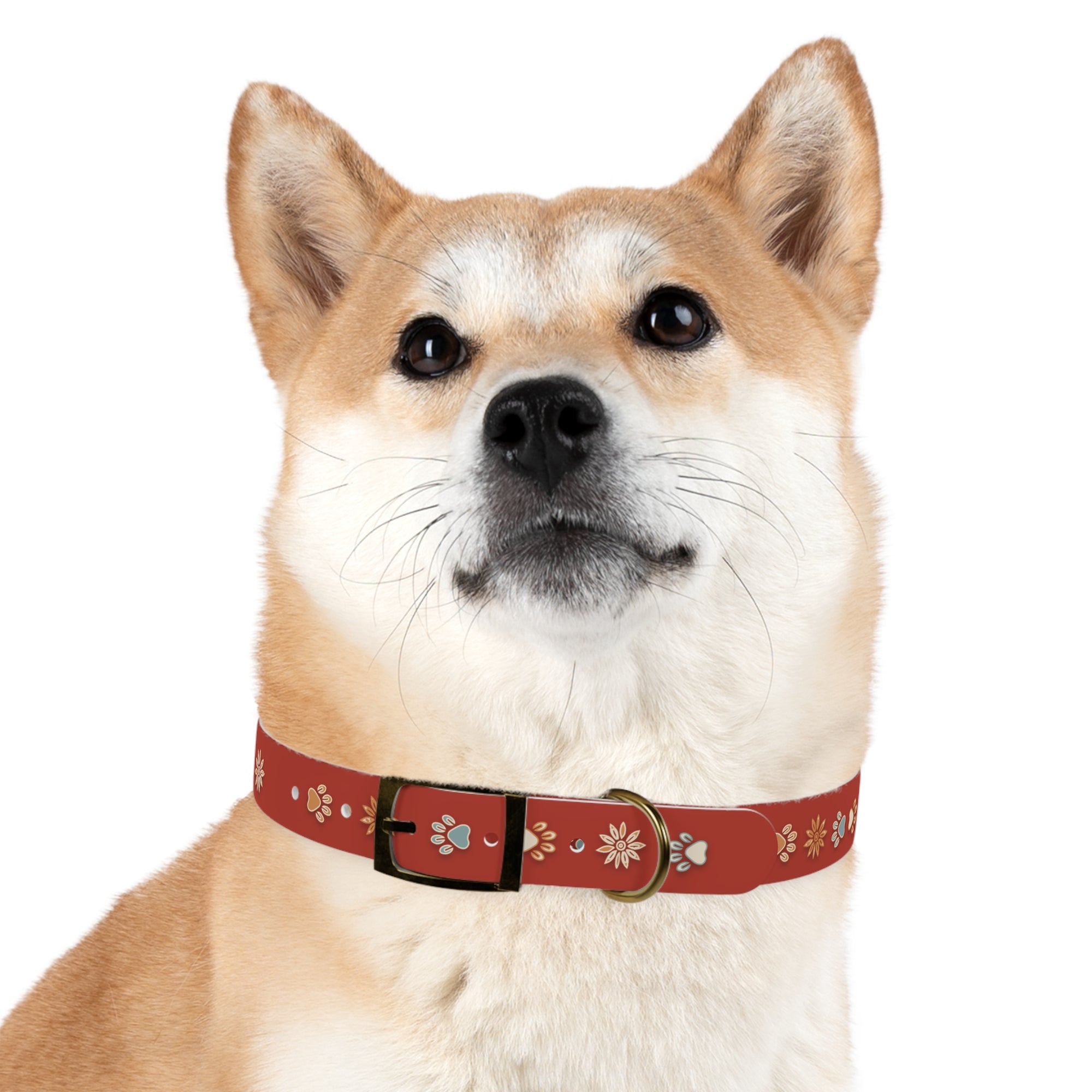 Wildbloom Walk: Dog Collar