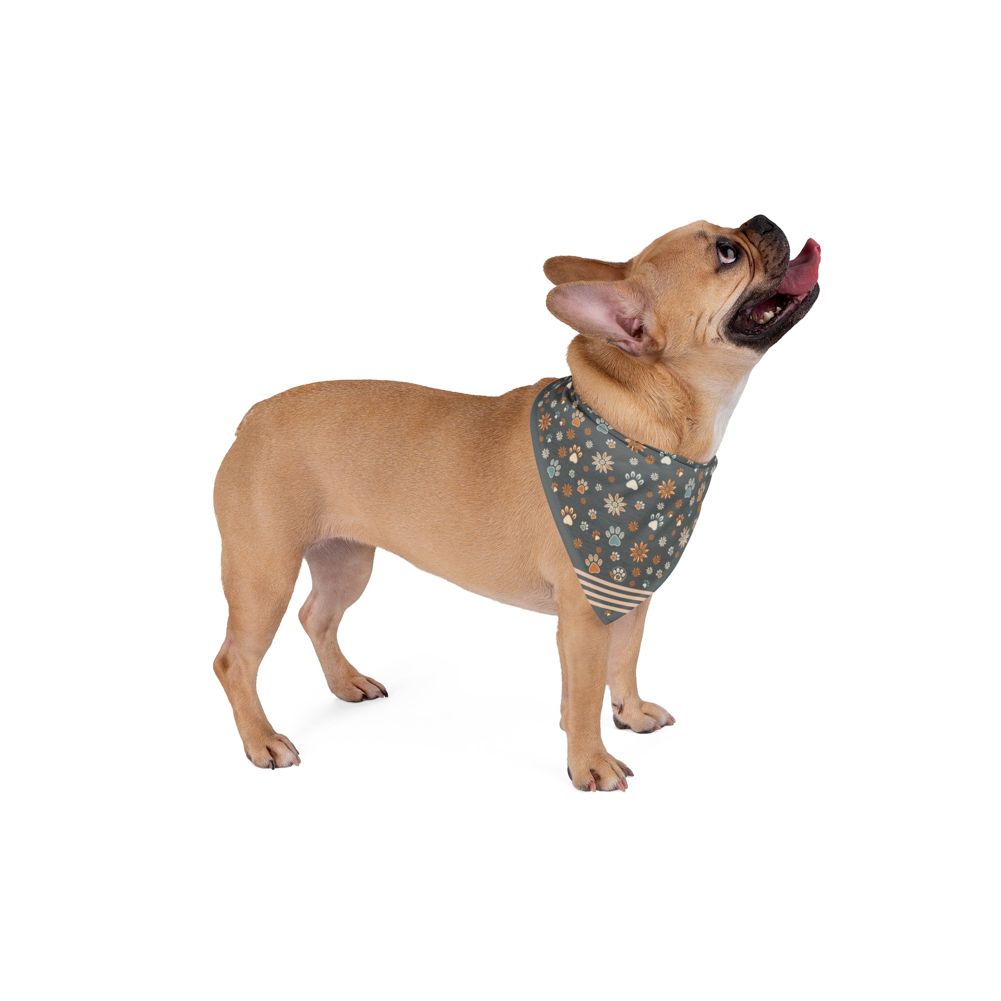 Wildbloom Walk: Pet Bandana
