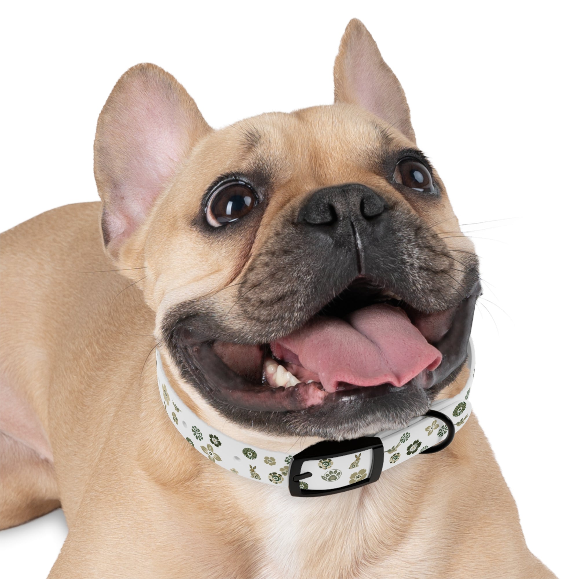 Meadow Moments: Dog Collar