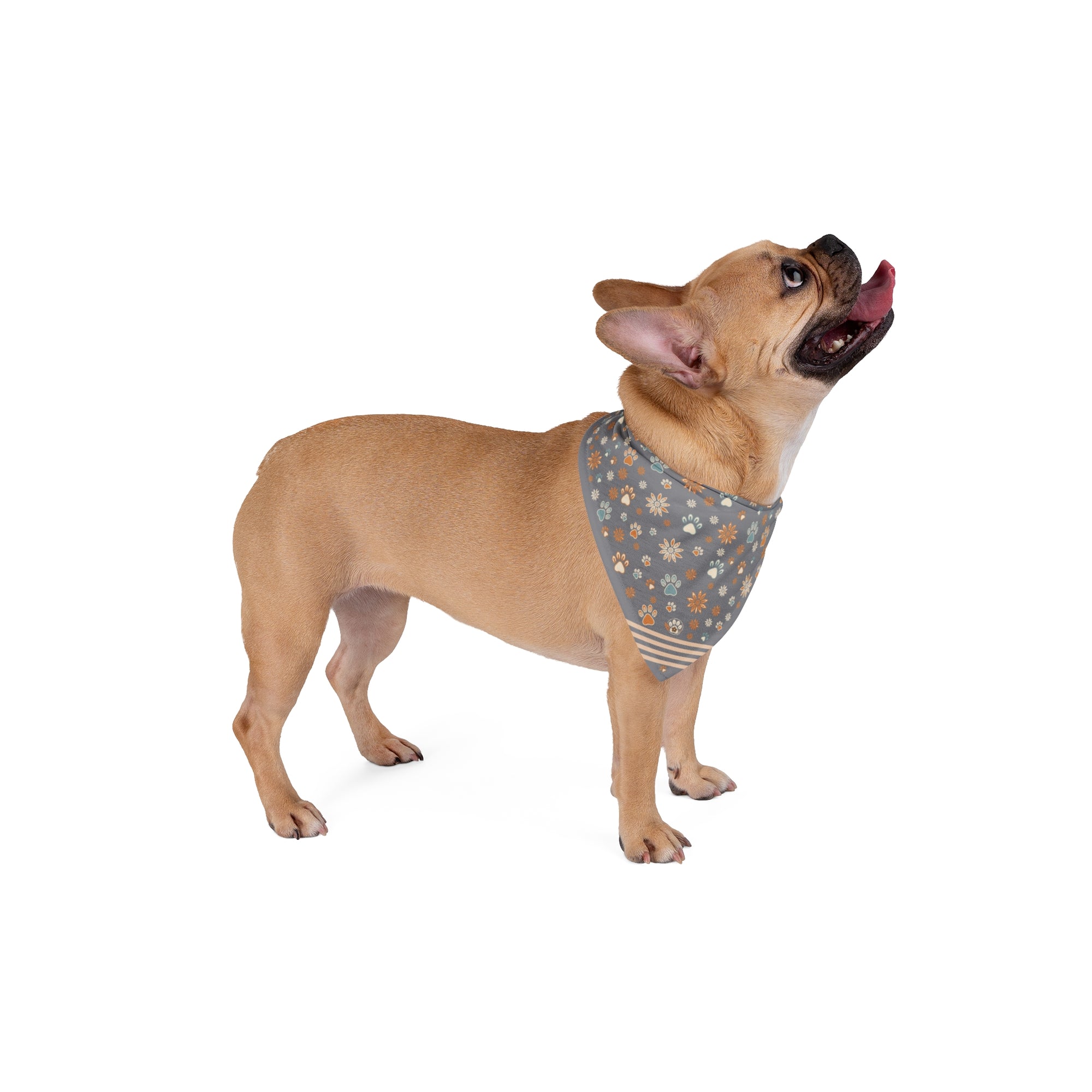 Wildbloom Walk: Pet Bandana