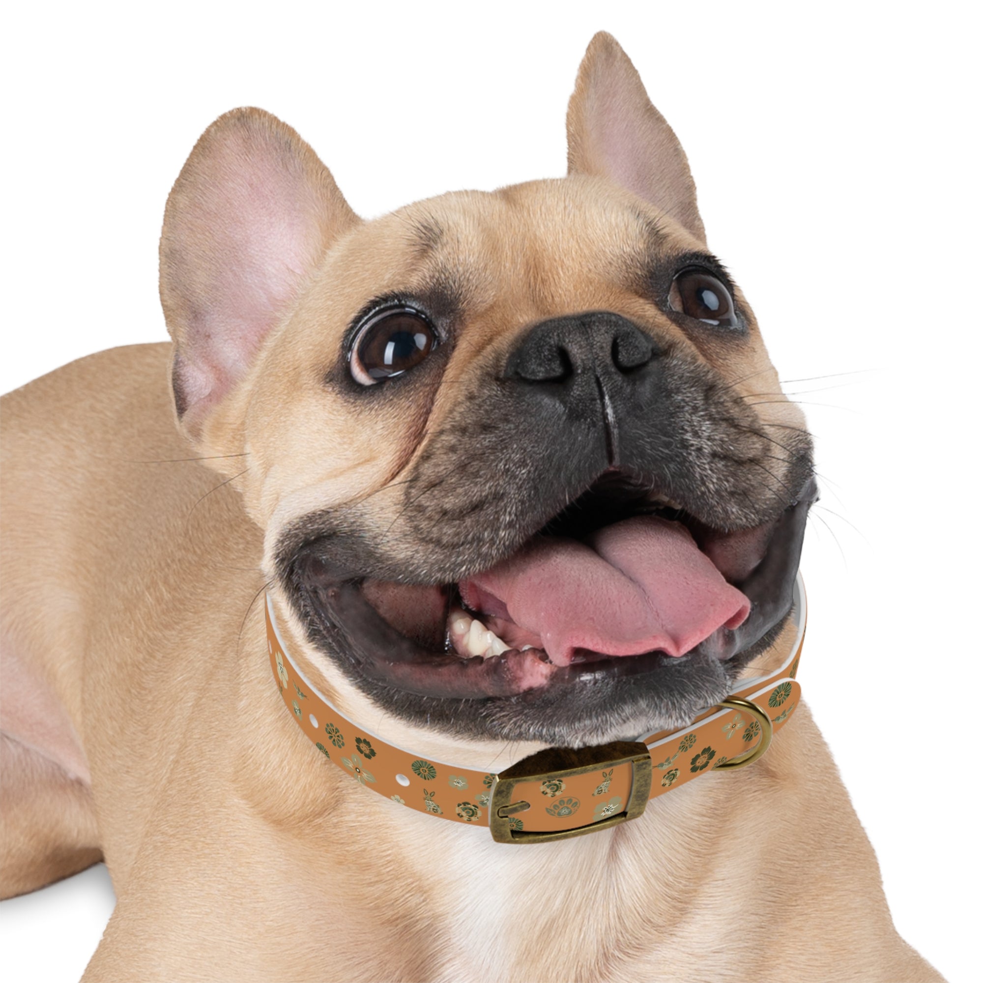 Meadow Moments: Dog Collar