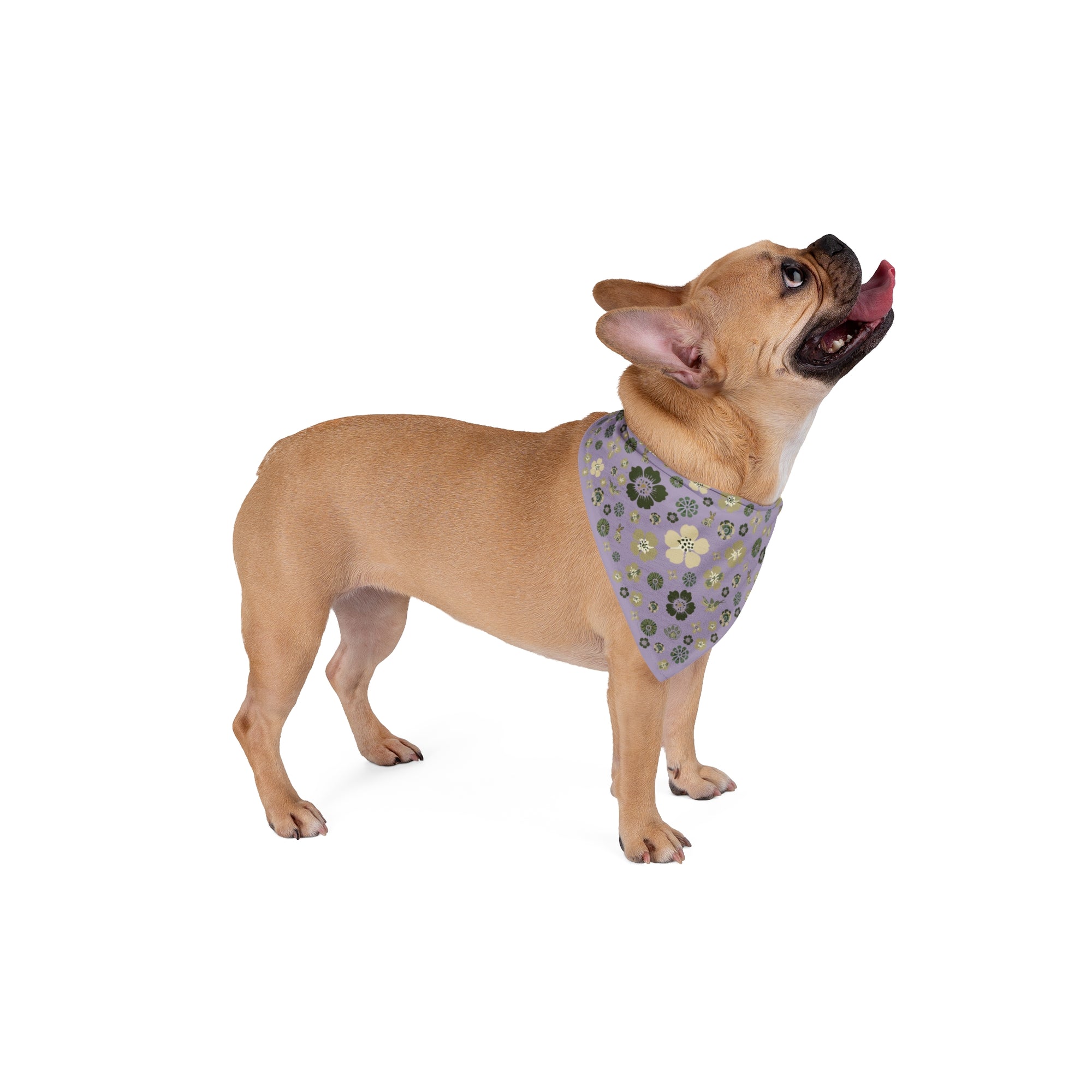 Meadow Moments: Pet Bandana