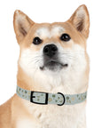 Meadow Moments: Dog Collar