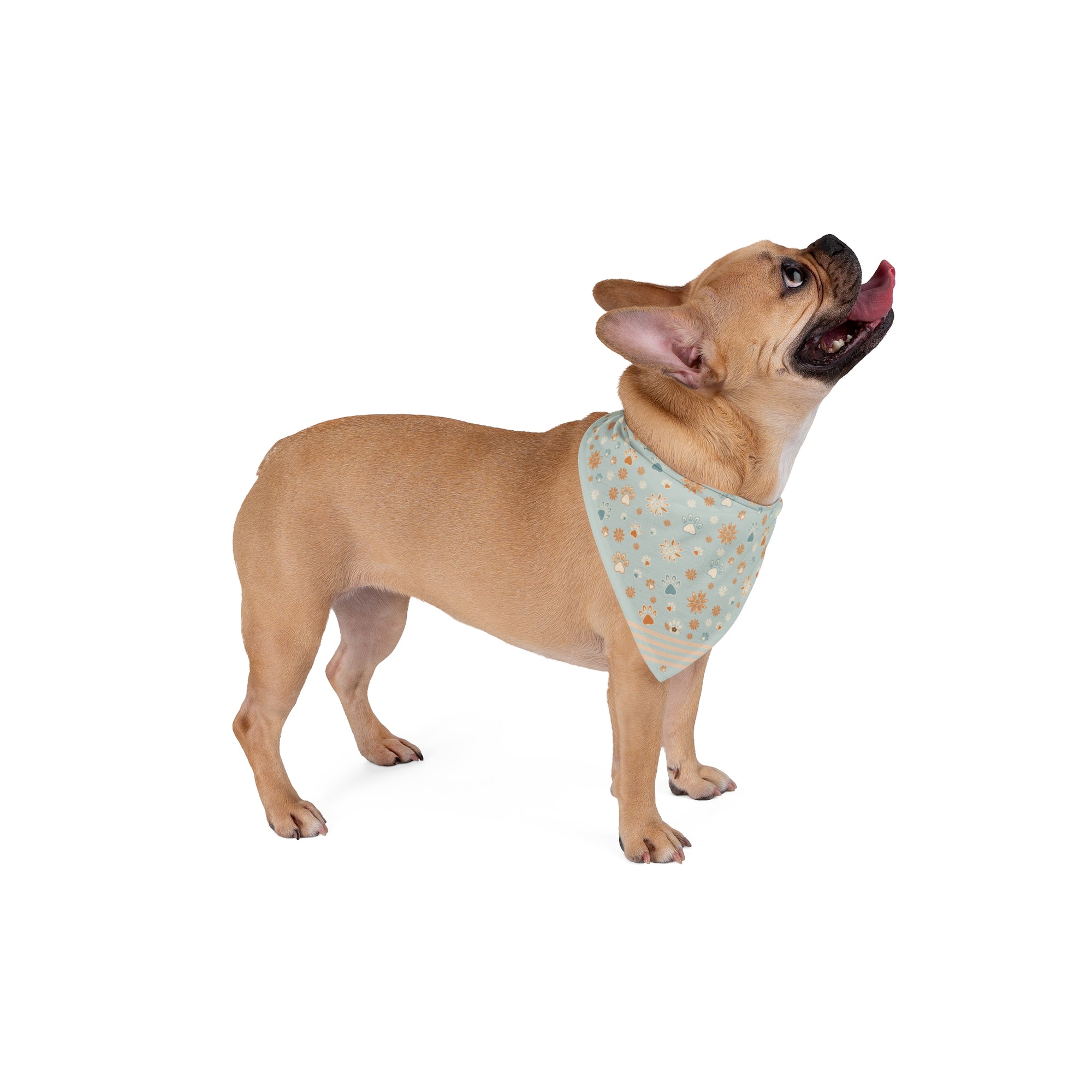 Wildbloom Walk: Pet Bandana