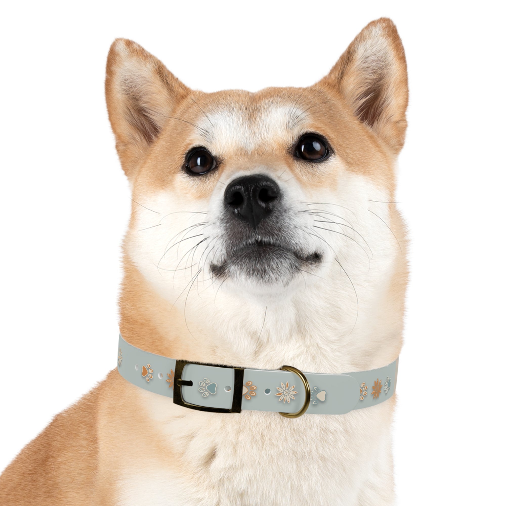 Wildbloom Walk: Dog Collar