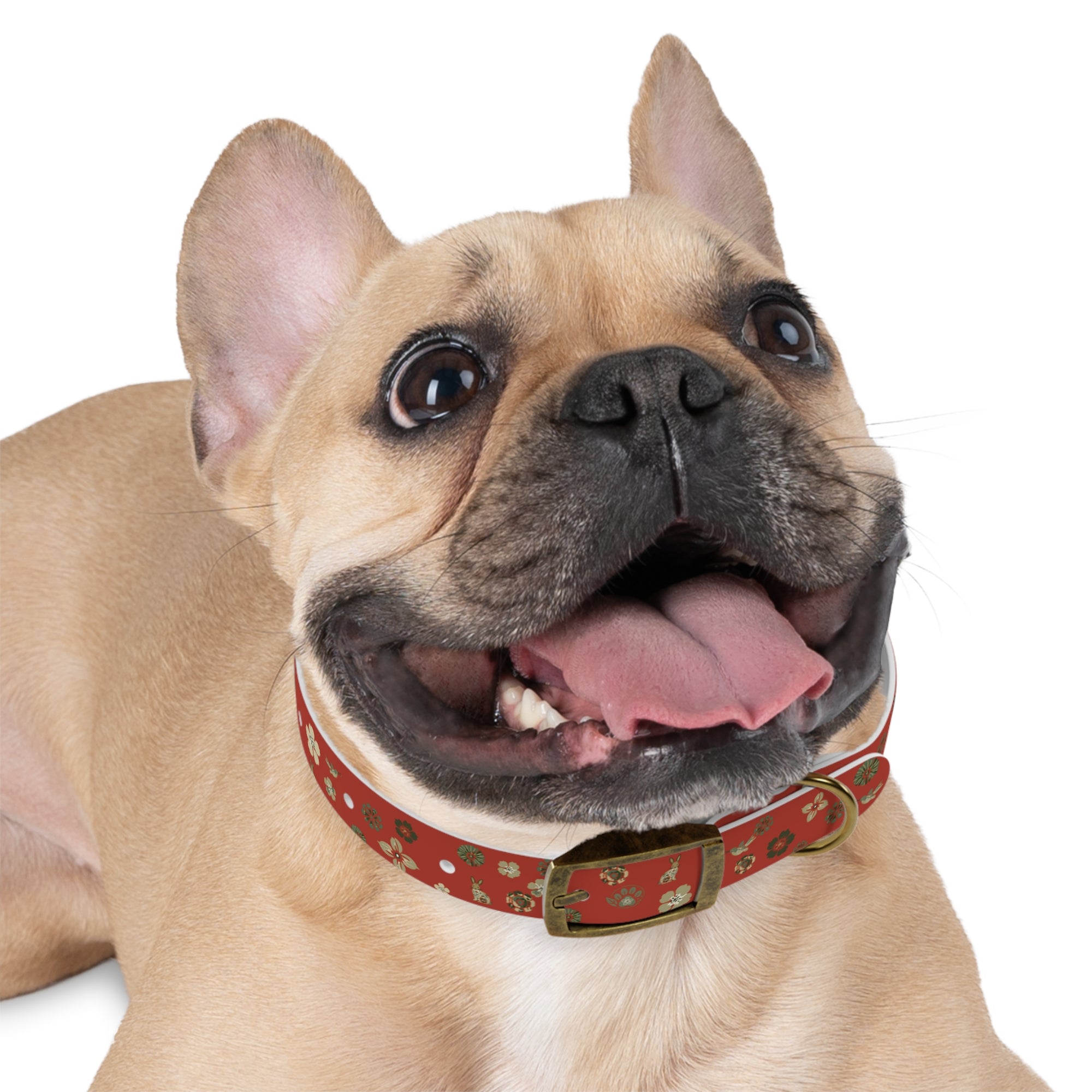 Meadow Moments: Dog Collar