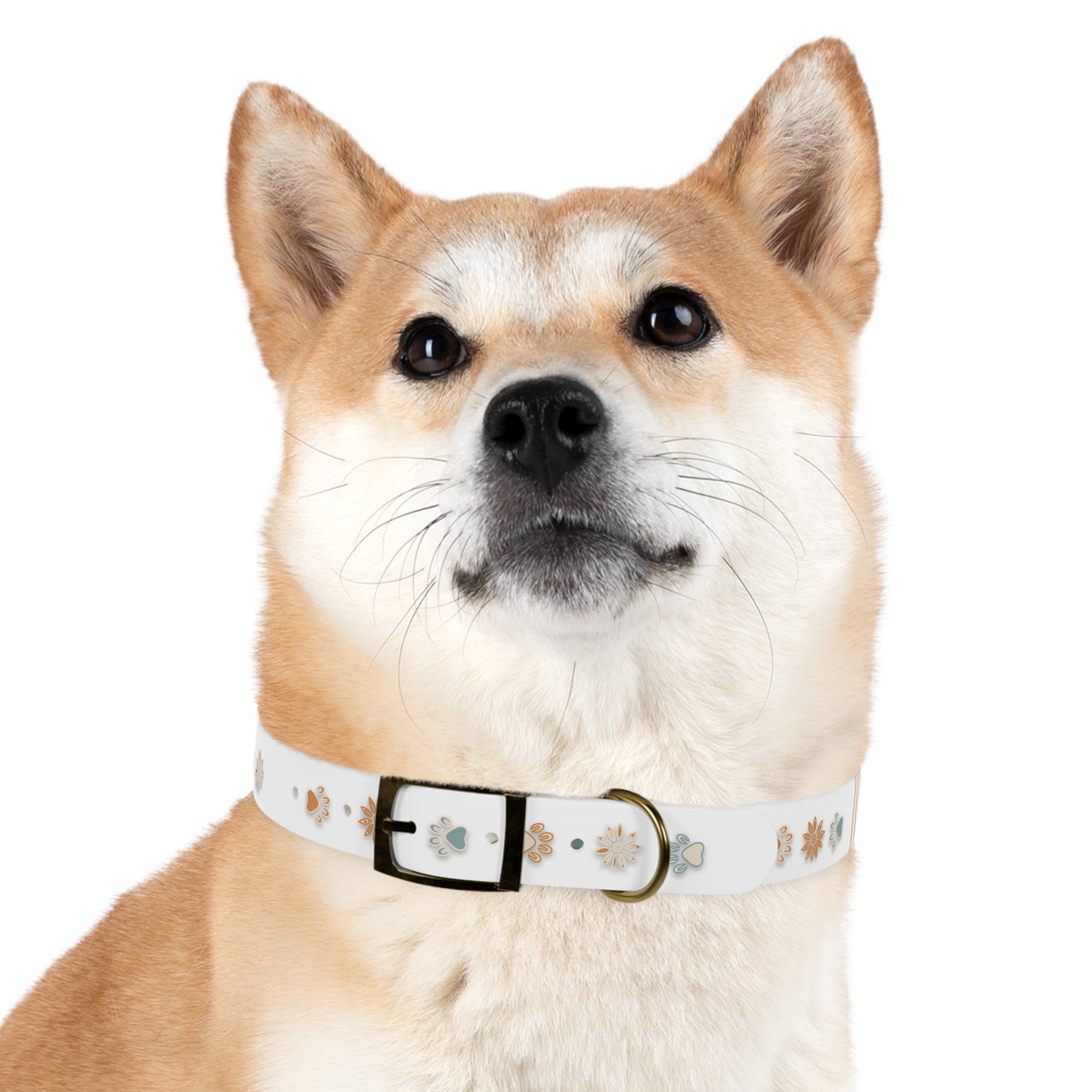 Wildbloom Walk: Dog Collar