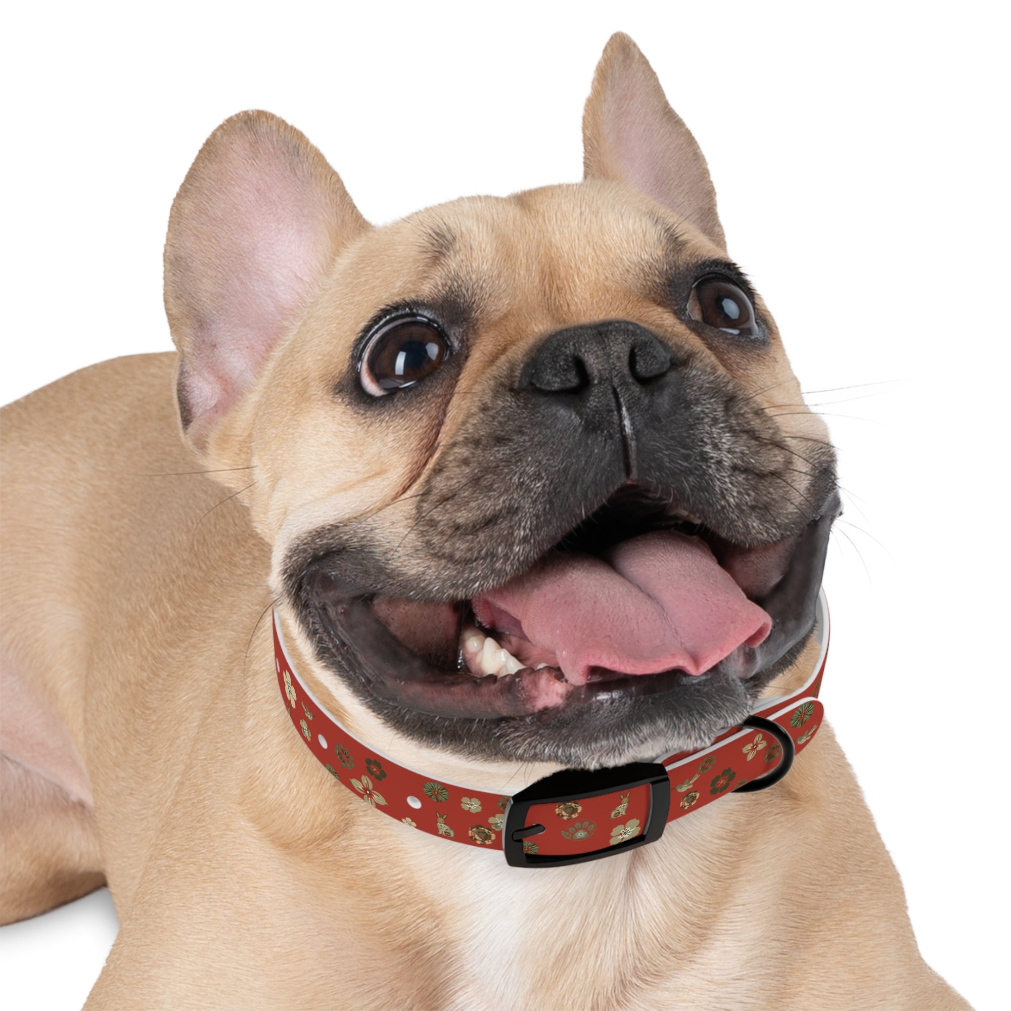 Meadow Moments: Dog Collar