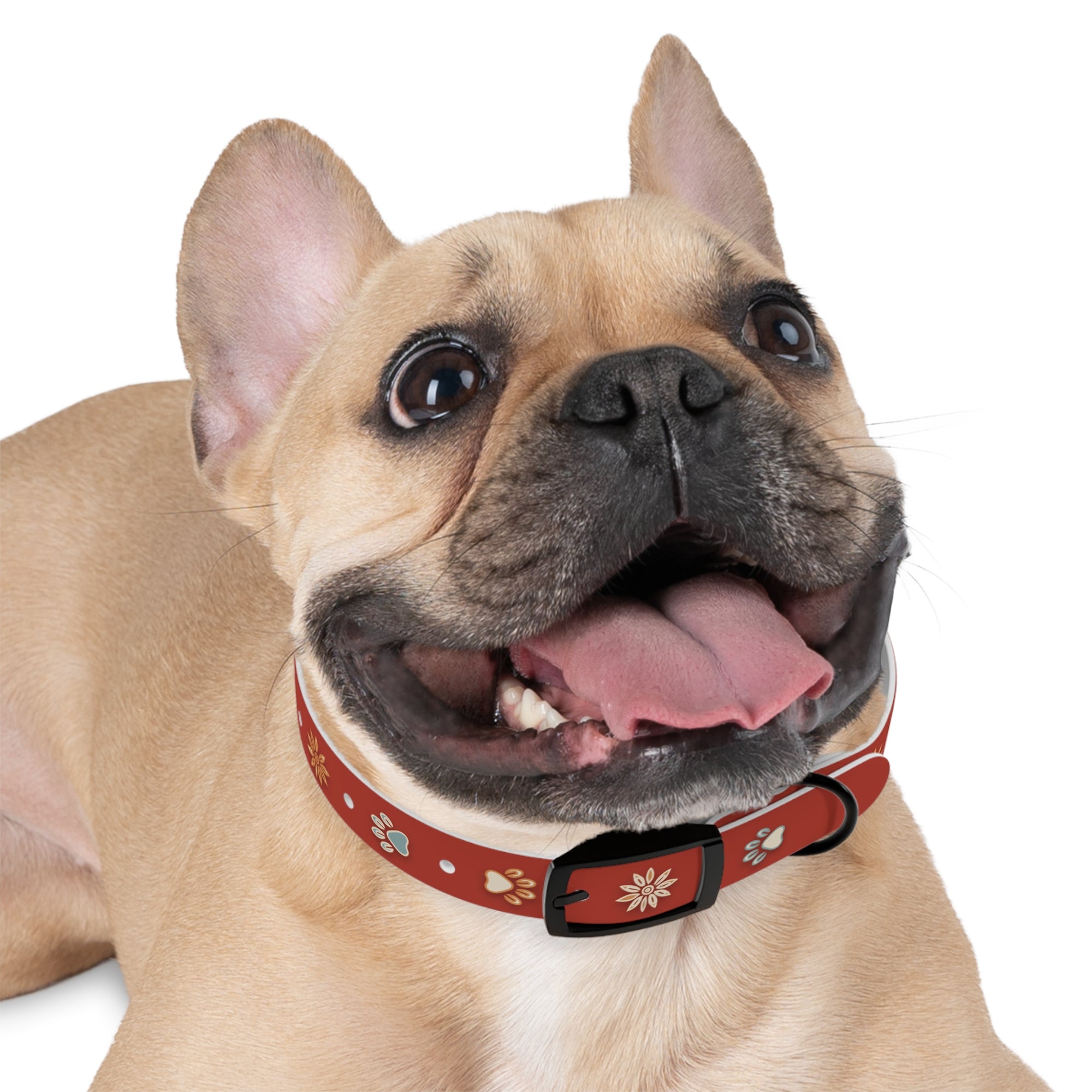 Wildbloom Walk: Dog Collar