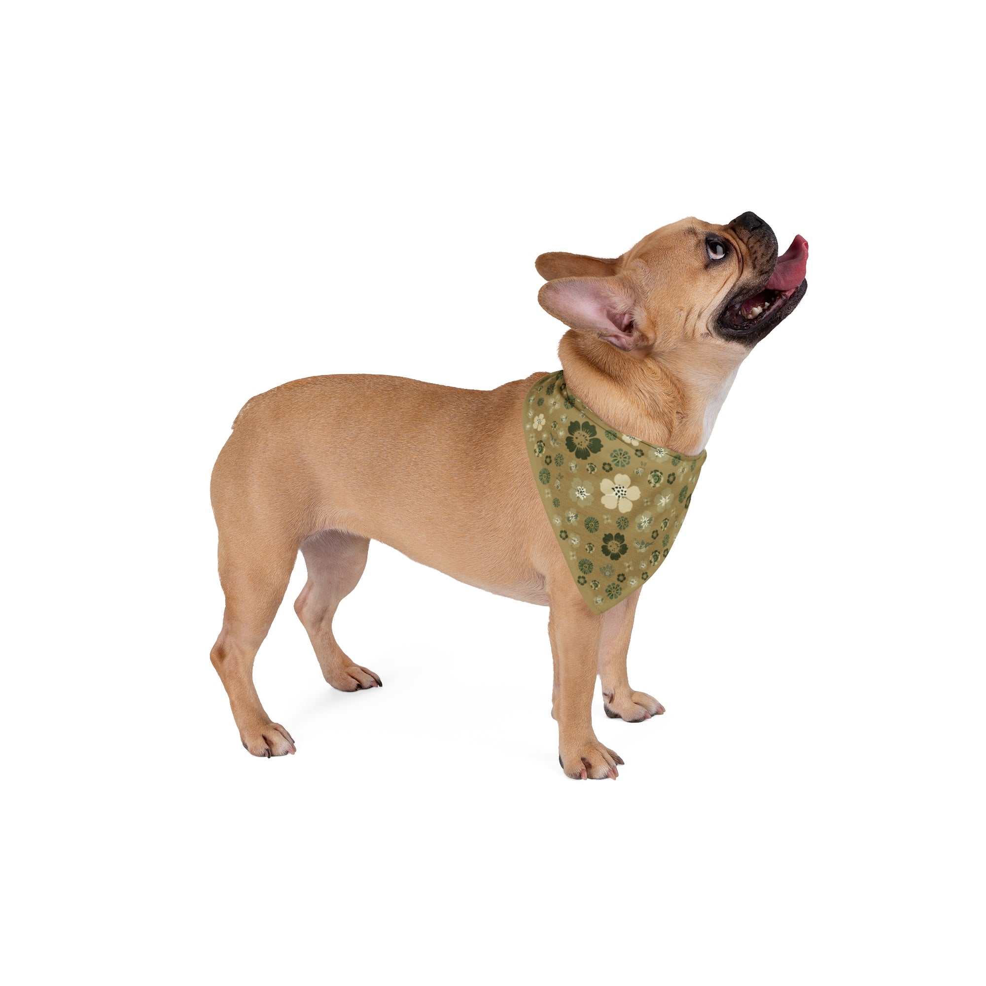Meadow Moments: Pet Bandana