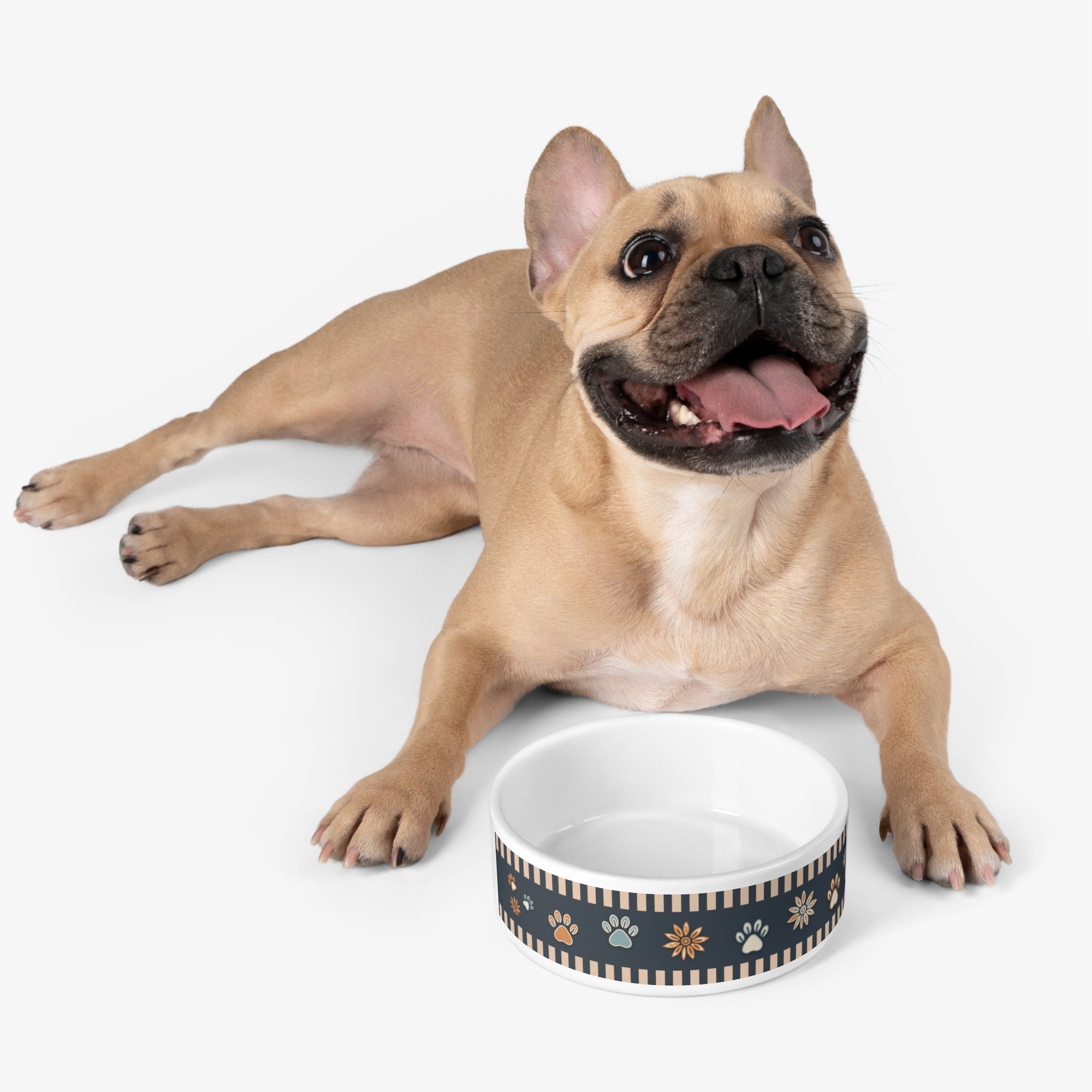 Wildbloom Walk: Pet Bowl