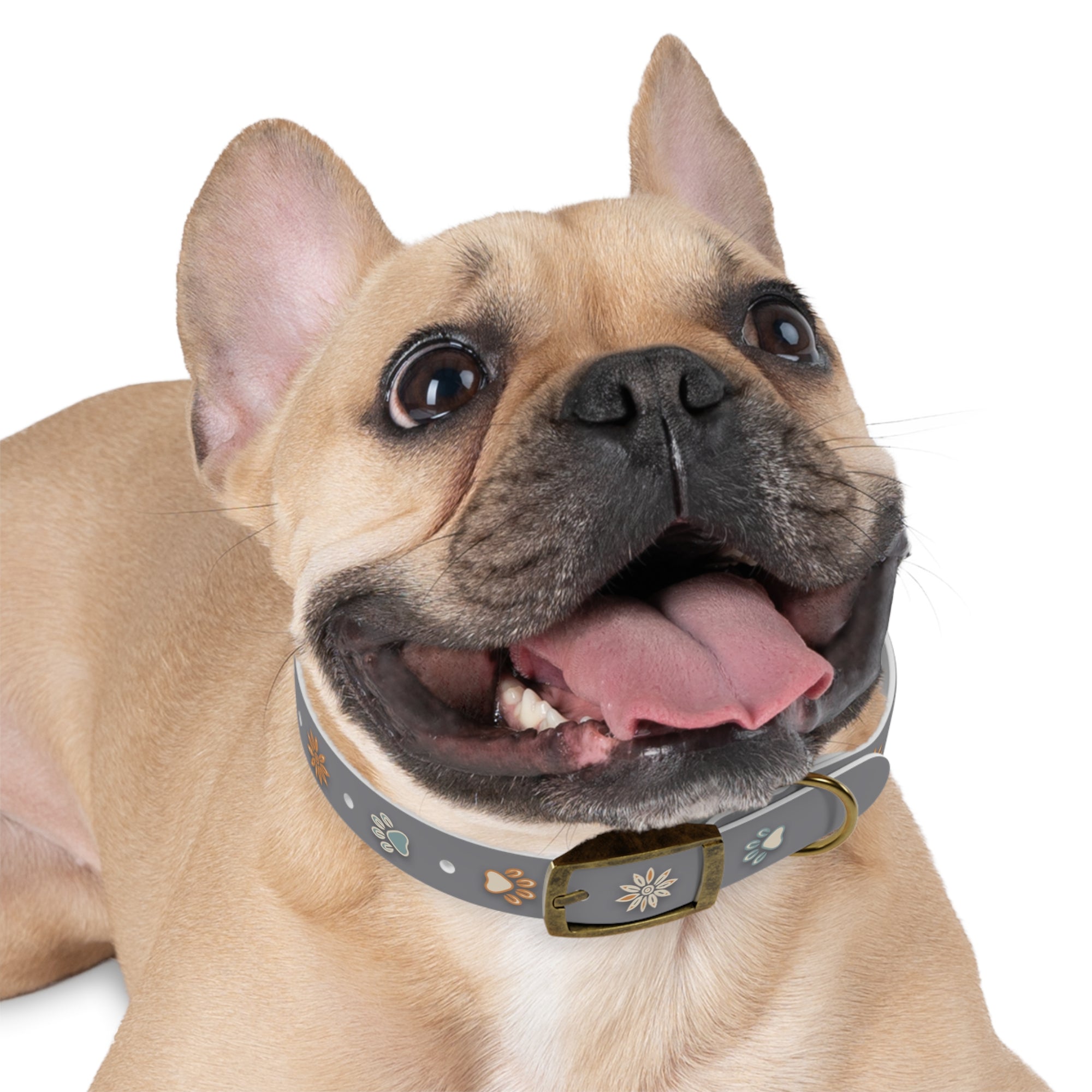 Wildbloom Walk: Dog Collar