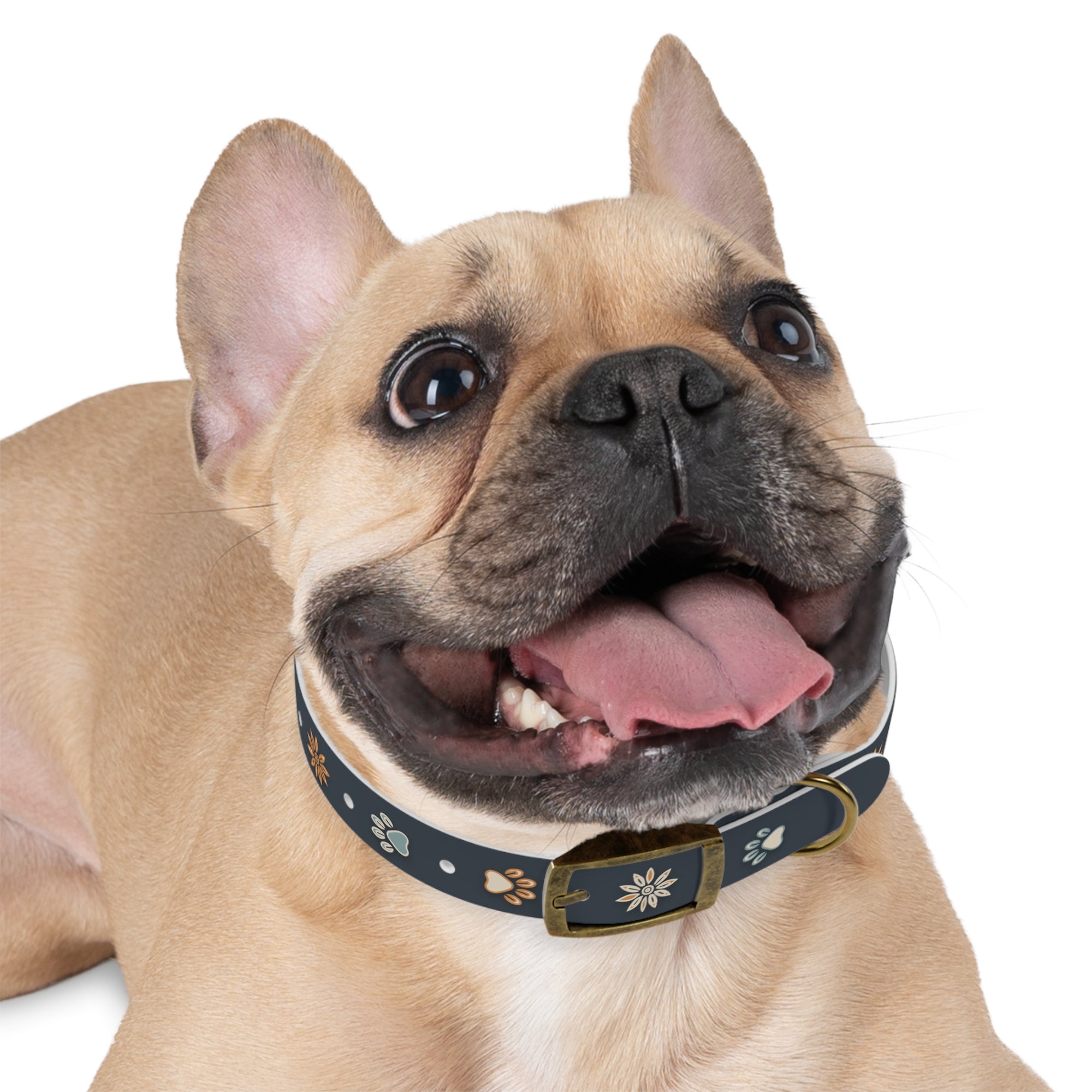 Wildbloom Walk: Dog Collar