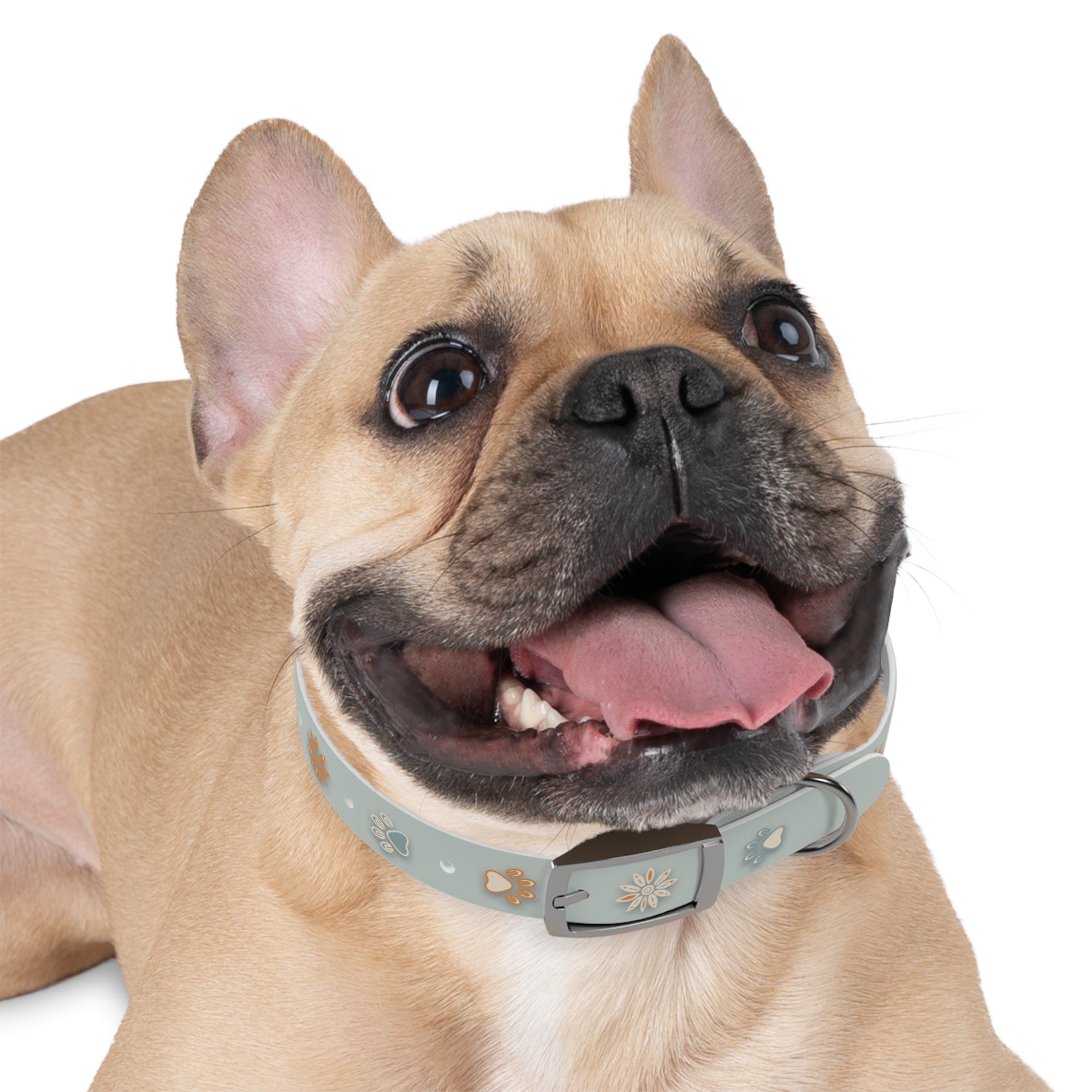 Wildbloom Walk: Dog Collar
