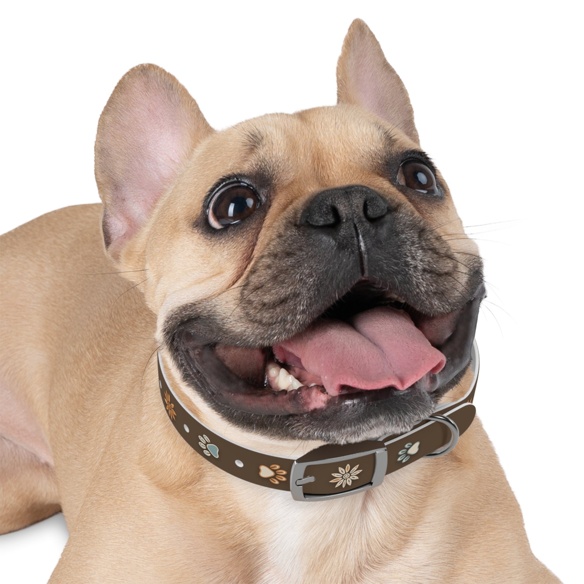 Wildbloom Walk: Dog Collar