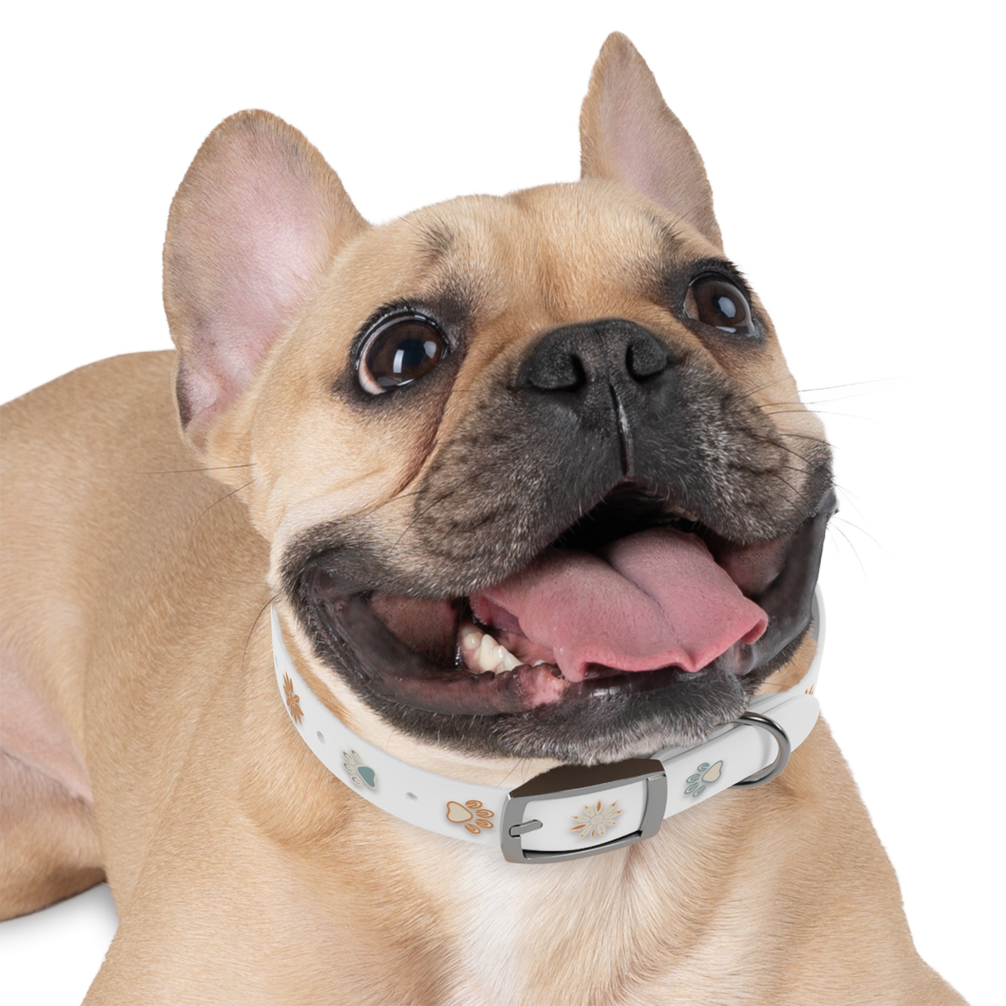 Wildbloom Walk: Dog Collar