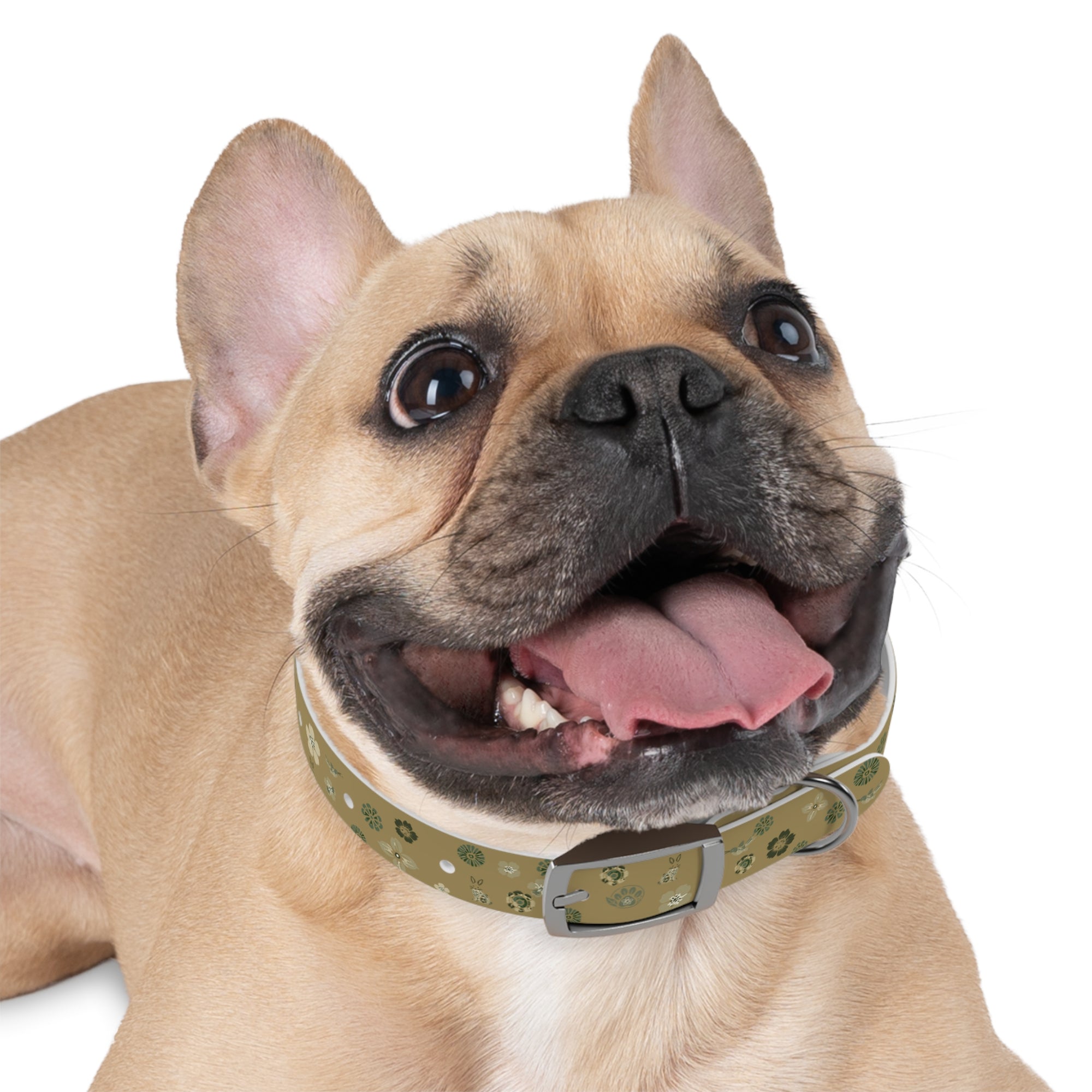 Meadow Moments: Dog Collar