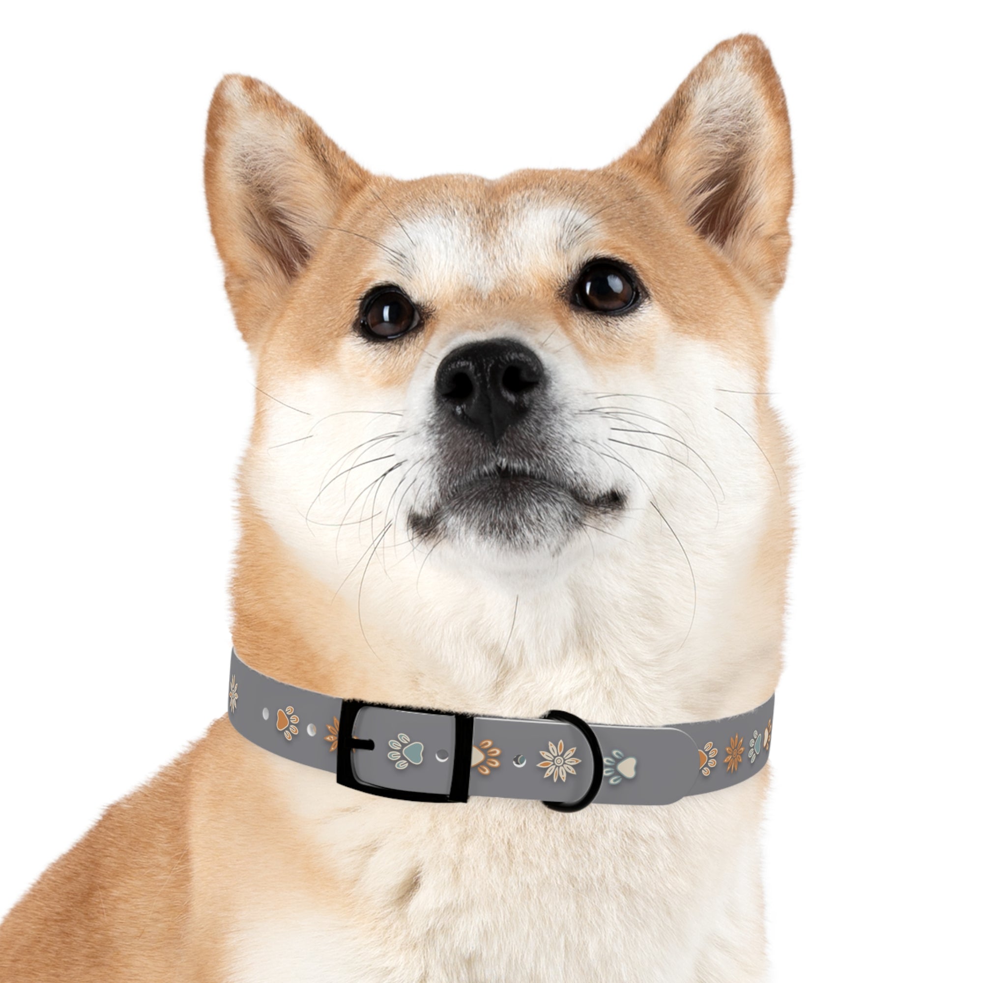 Wildbloom Walk: Dog Collar