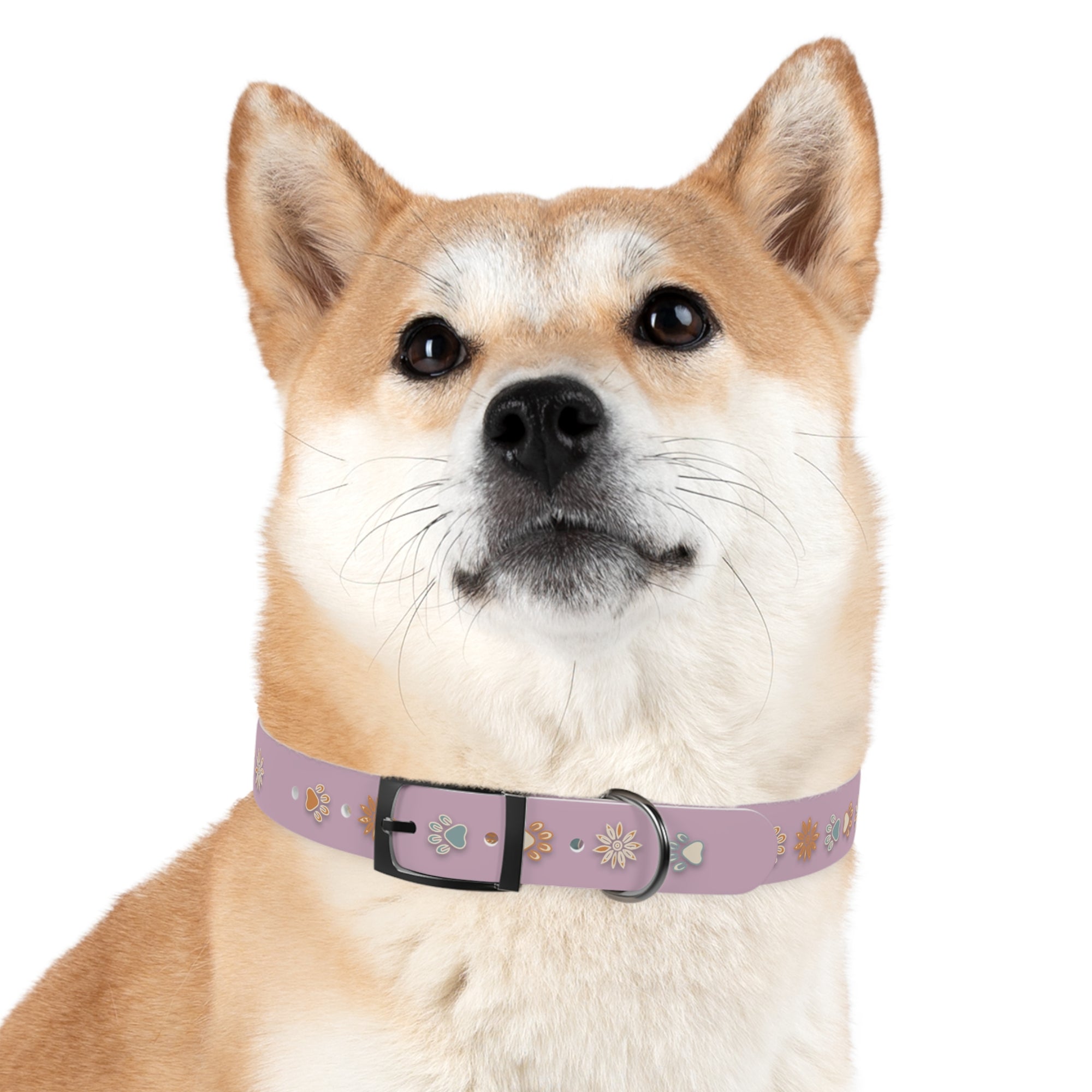 Wildbloom Walk: Dog Collar