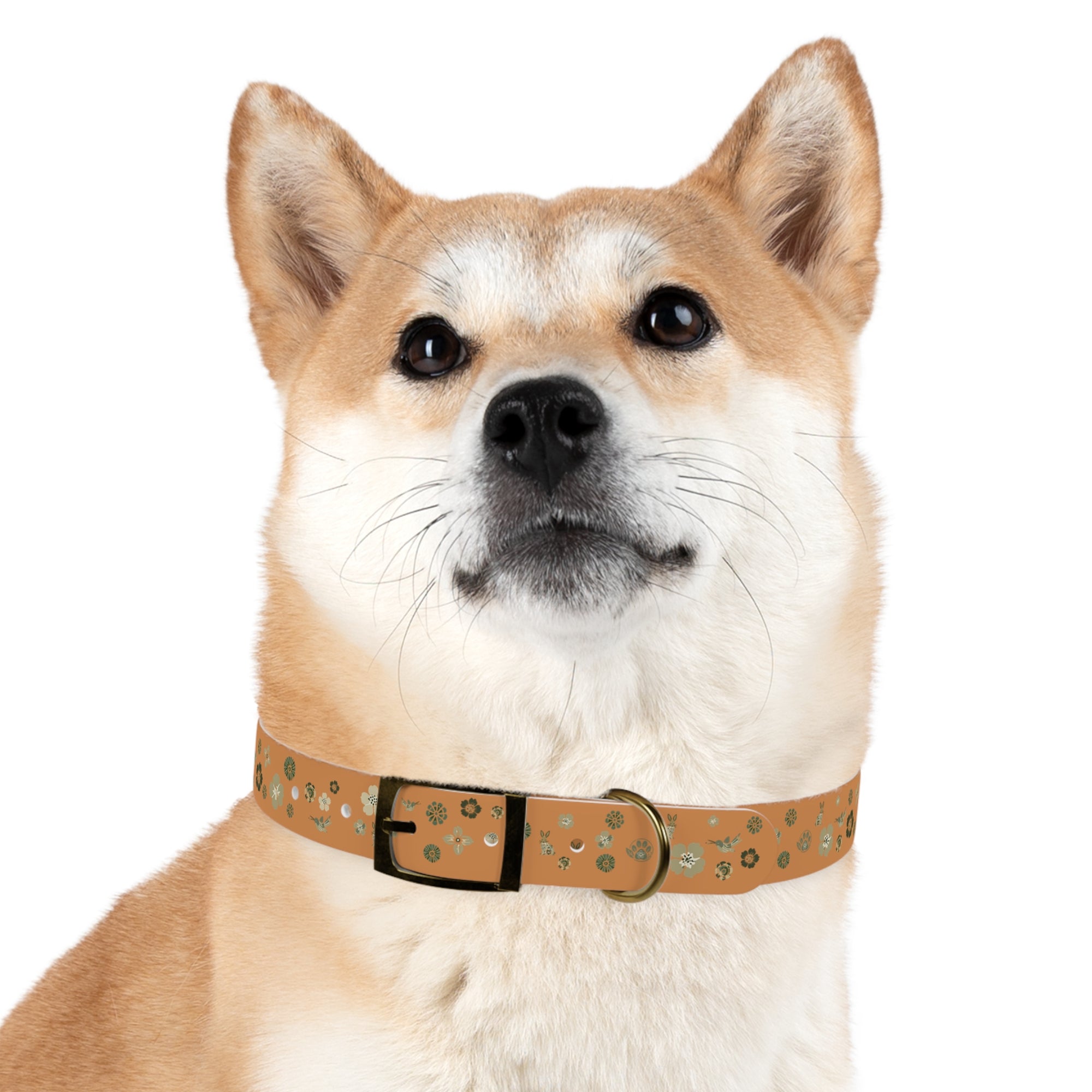Meadow Moments: Dog Collar