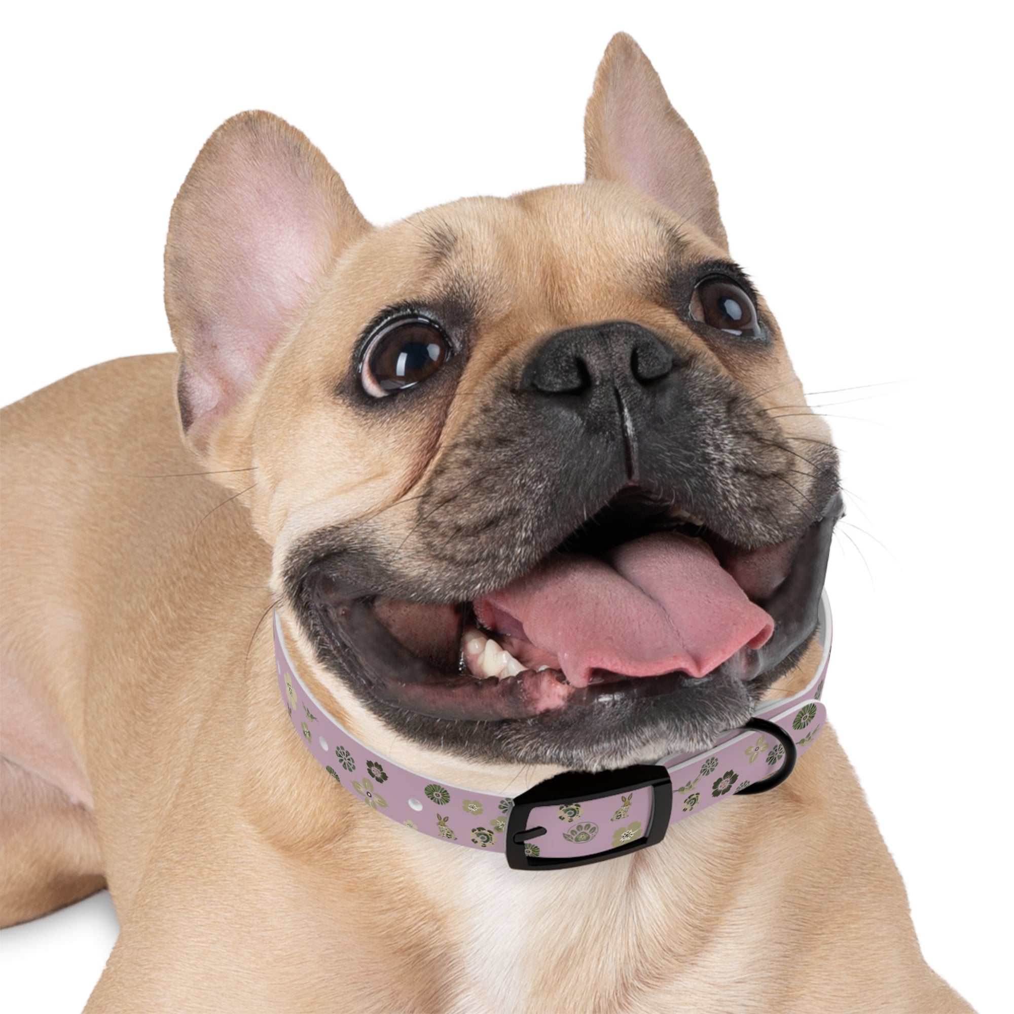 Meadow Moments: Dog Collar