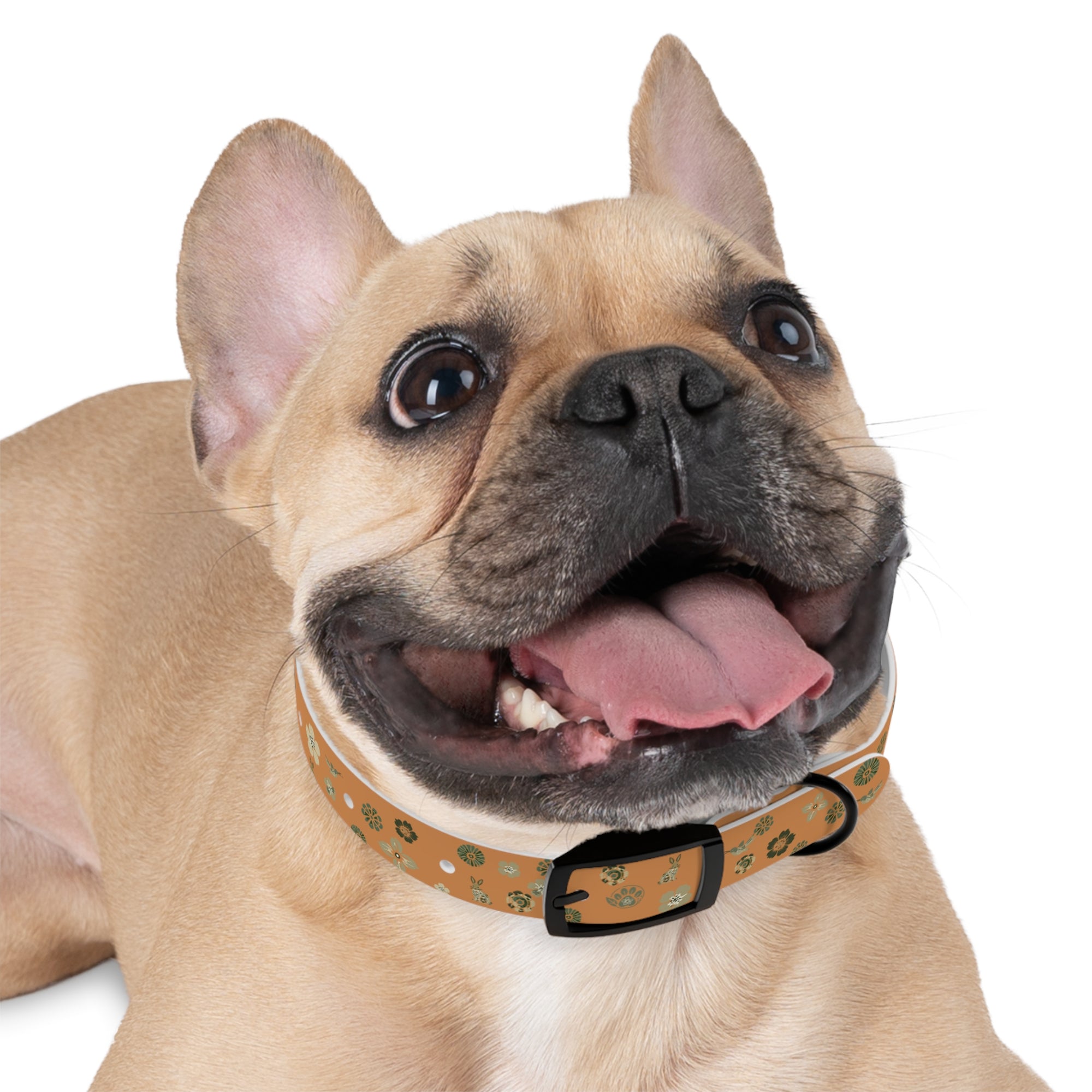 Meadow Moments: Dog Collar