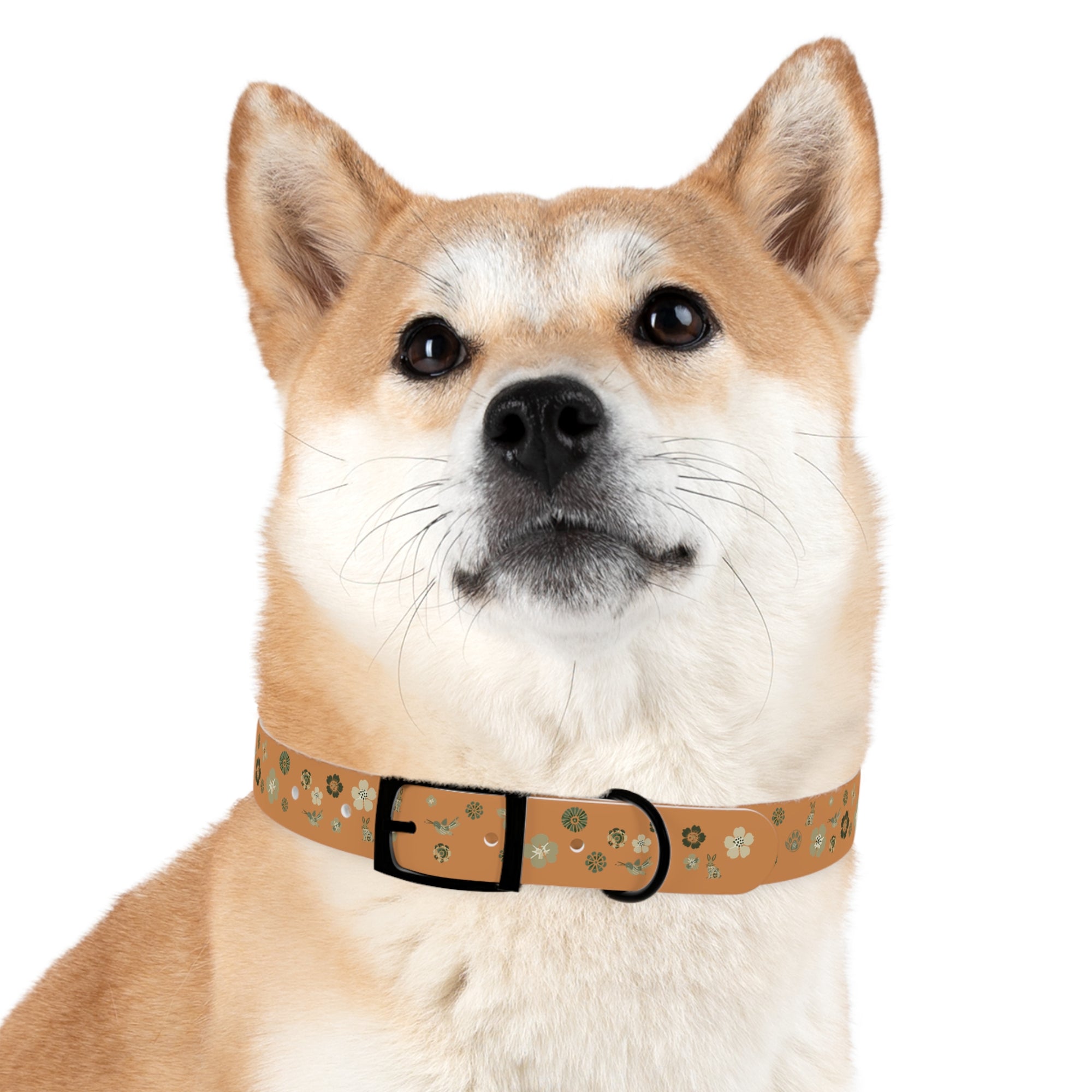 Meadow Moments: Dog Collar