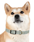 Meadow Moments: Dog Collar