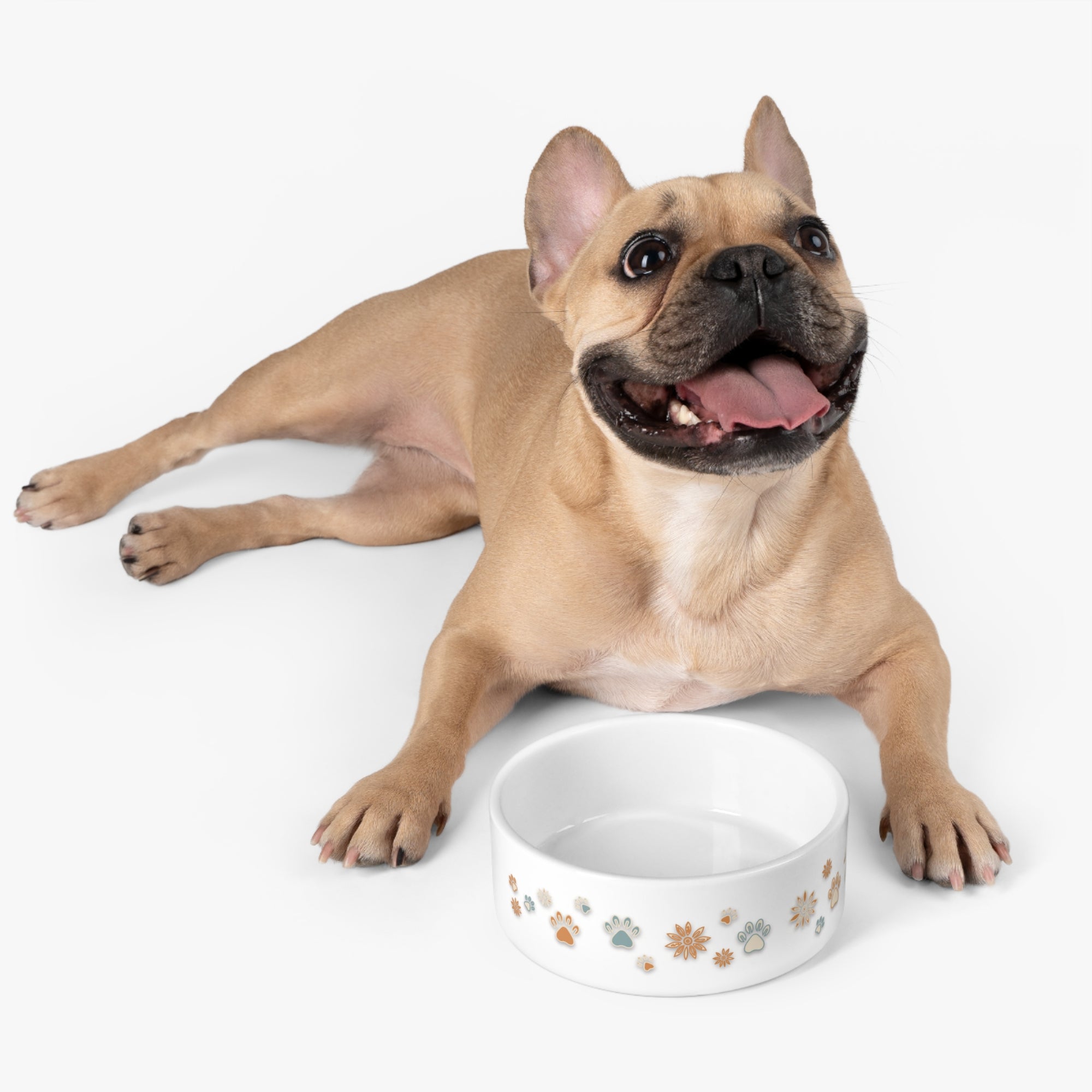 Wildbloom Walk: Pet Bowl