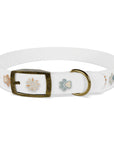 Wildbloom Walk: Dog Collar