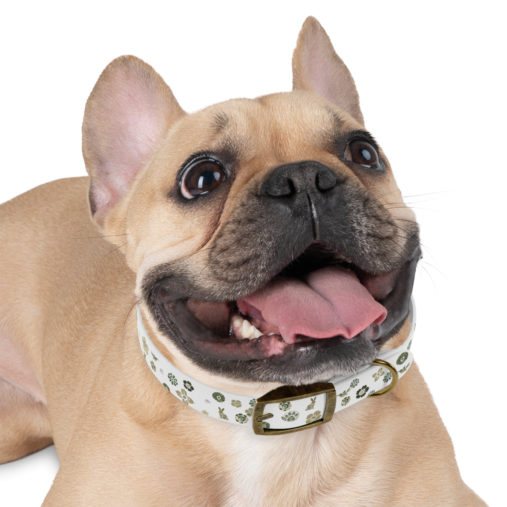 Meadow Moments: Dog Collar