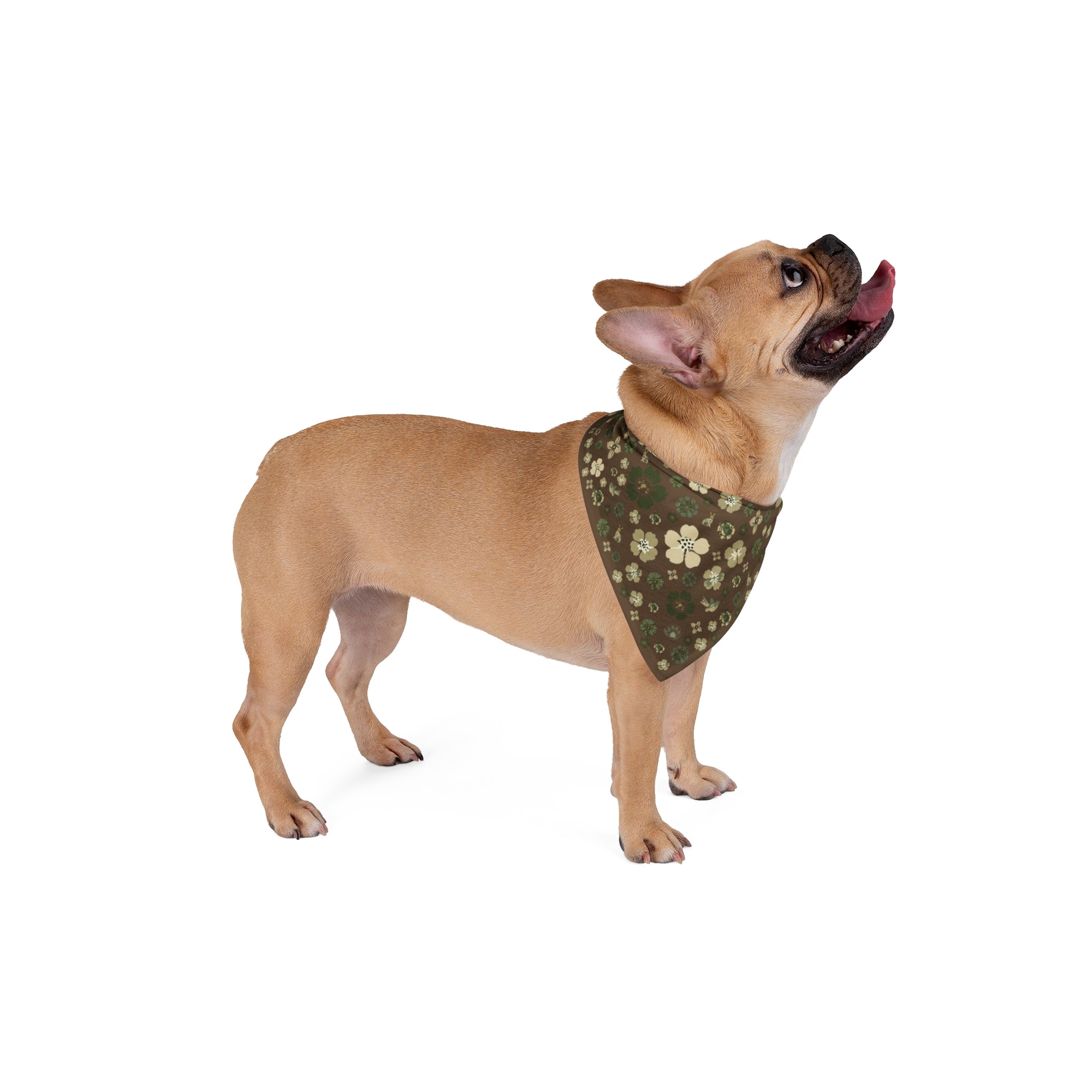 Meadow Moments: Pet Bandana